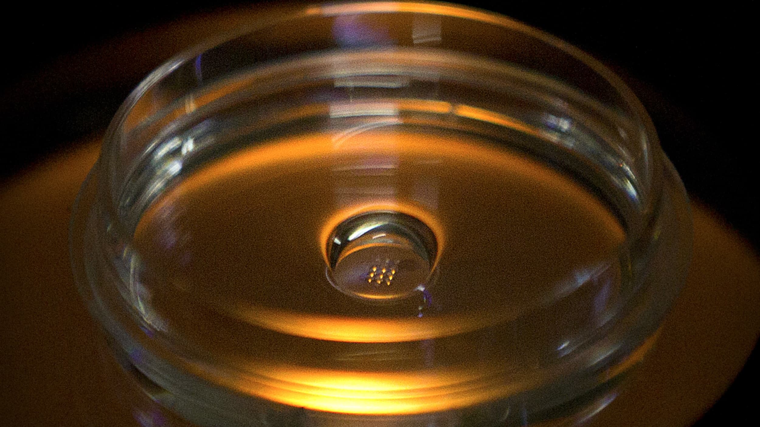 Embryos in a dish