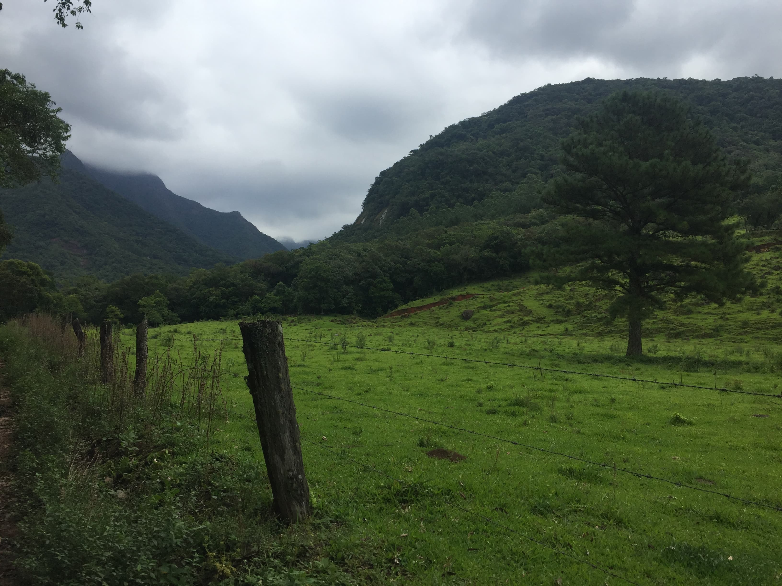 From the end of the road near a village named Tres Barras in southern Brazil, it takes several hours to hike into a paleontological site little-known to those outside the region. 
