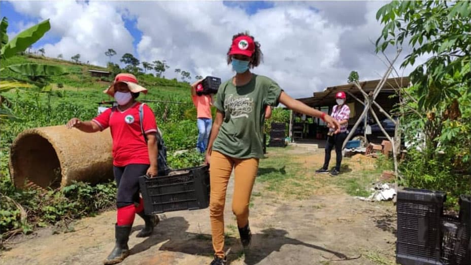 Landless Workers' Movement farmers gather food to distribute to poor communities.