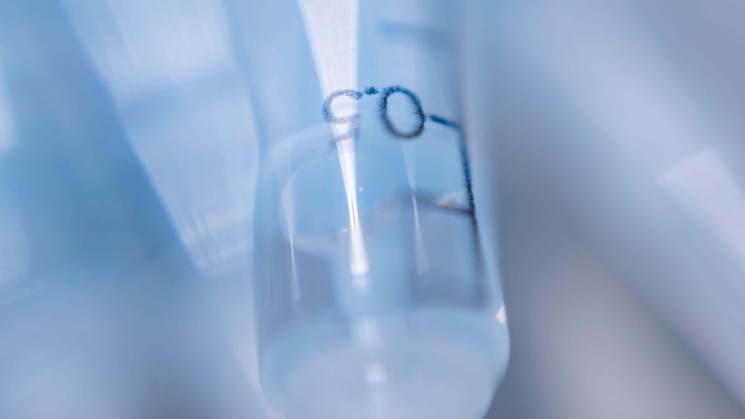 a syrine is shown in a close-up photograph and in soft blue focus.