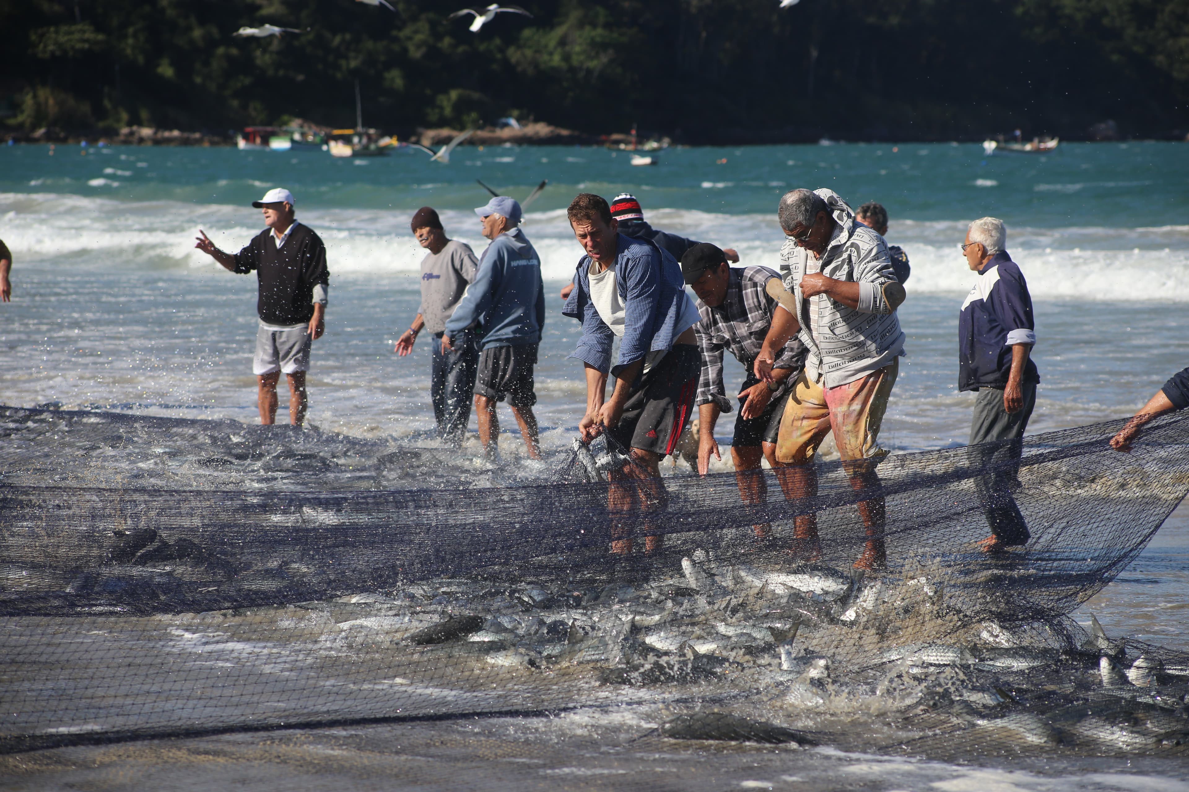 Fisherfolk pull in the net from the sea in Pantano do Sul, Brazil.