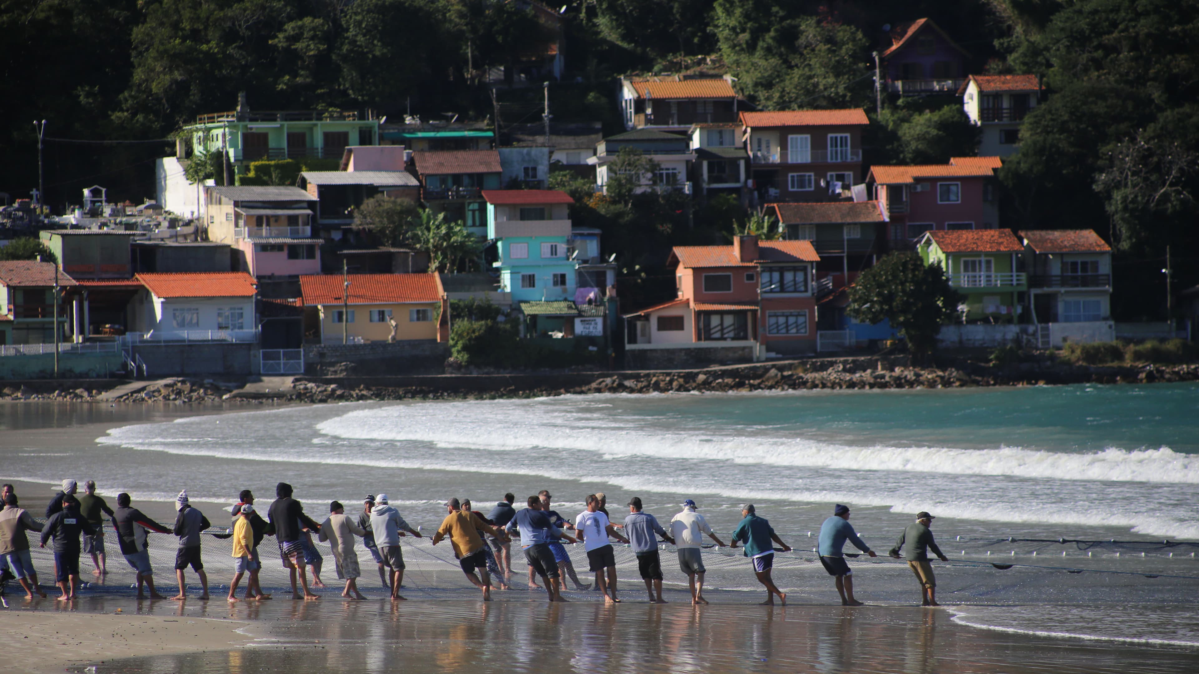 Fishing communities line up and come together to pull in the net from the sea.