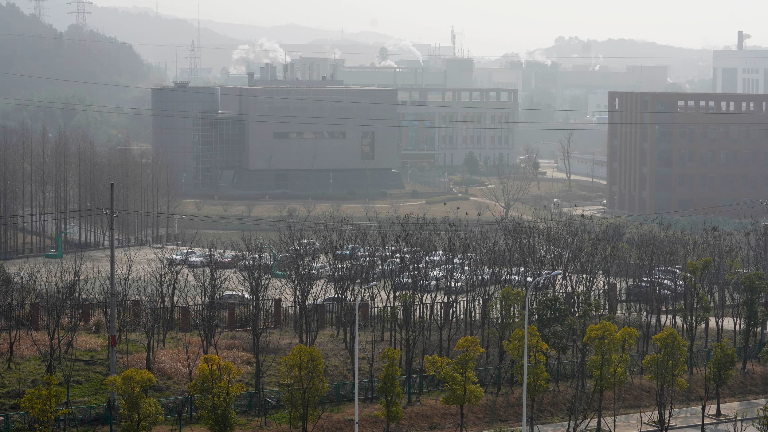 Two large four and five storey buildings are shown in the distance with a parking lot and a grove of trees in the near ground.