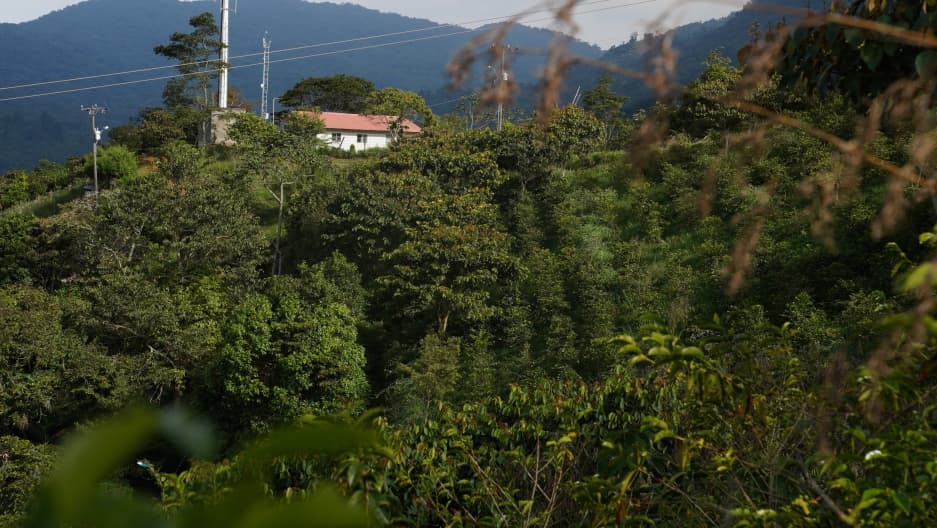 A remote building sits amid a field of greenery