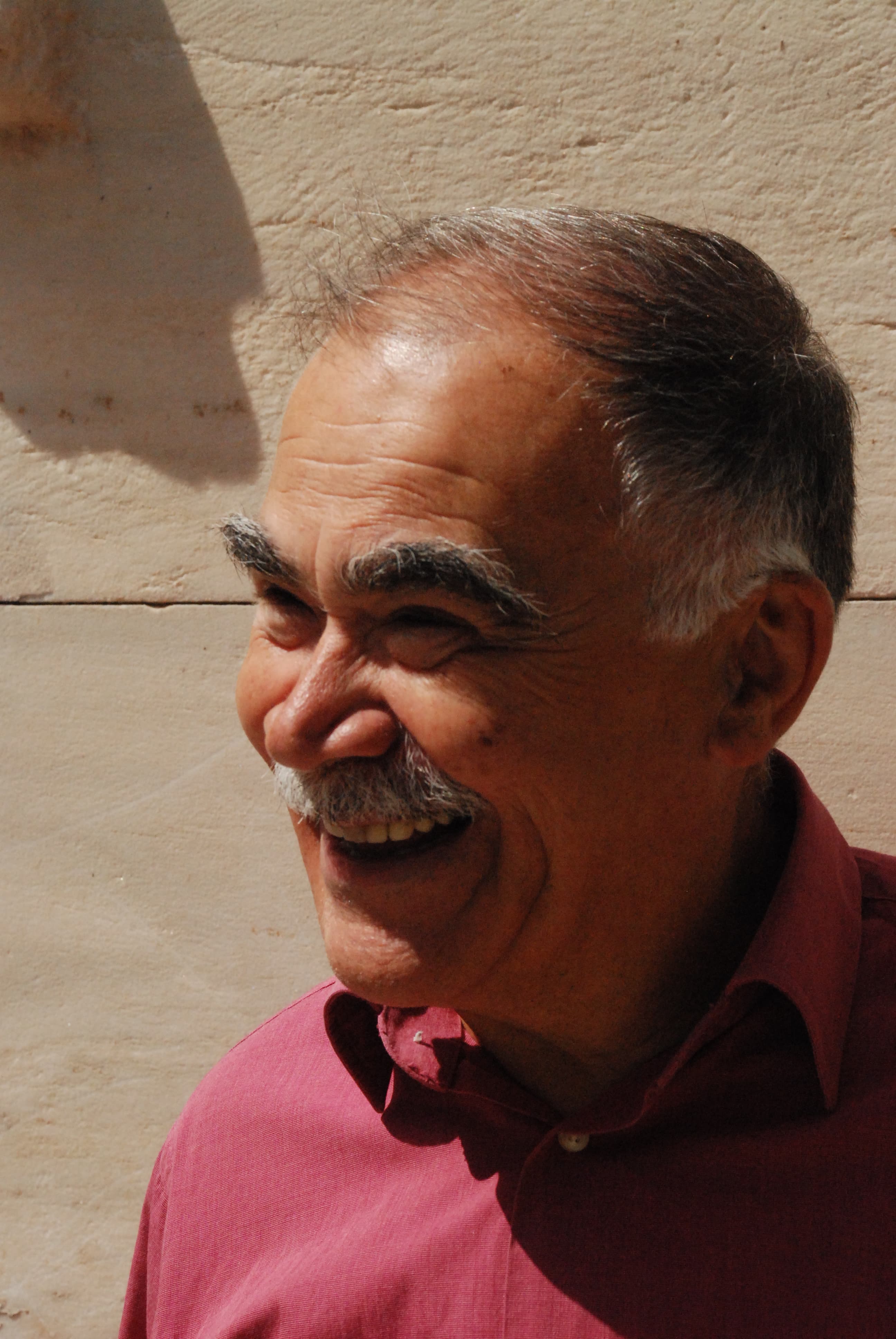 Tasos Tanoulas, who for decades led restoration and preservation projects on the Acropolis, is calling on renovations to the Acropolis to stop.