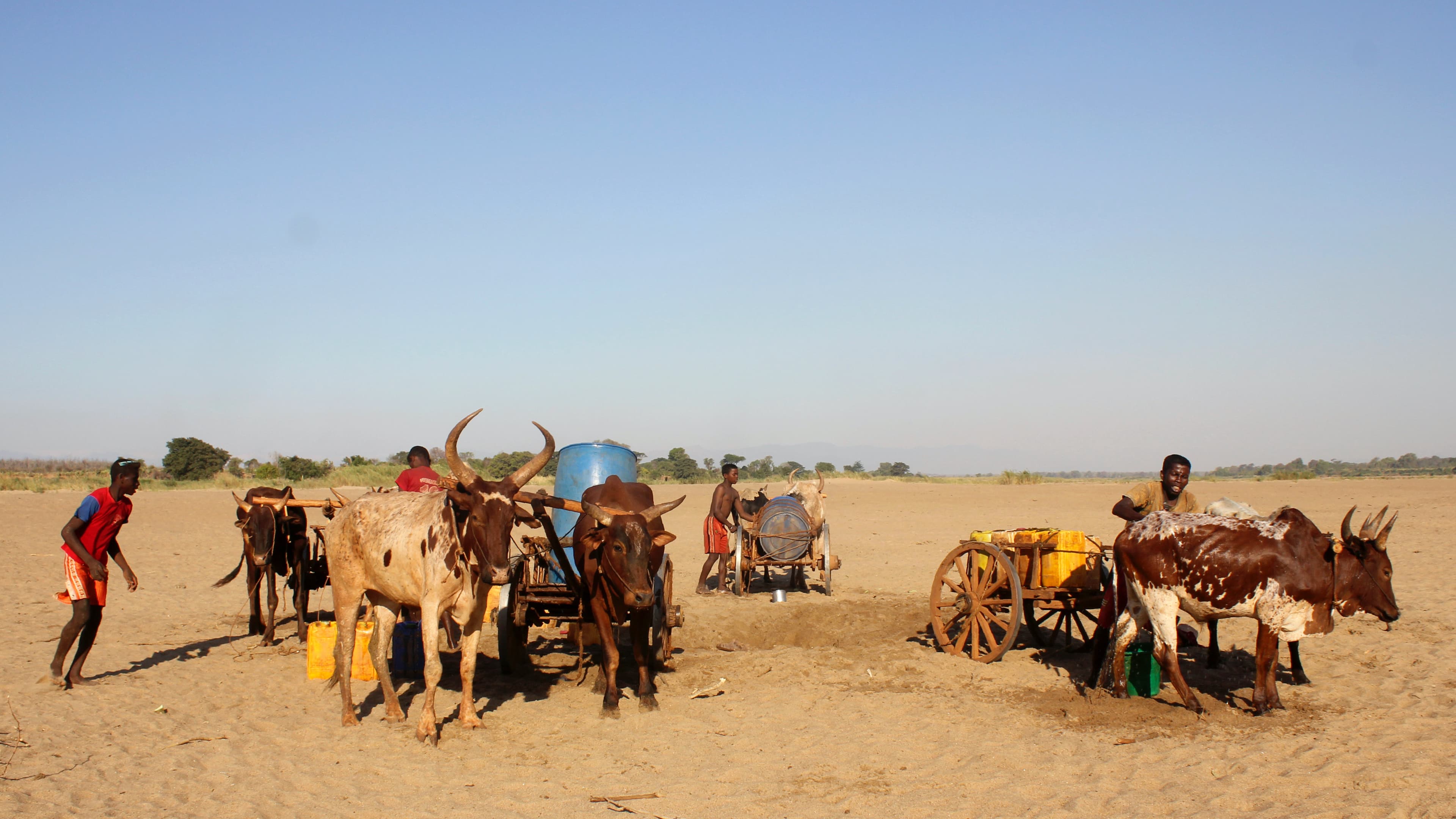 Men dig for water in the dry Mandrare river bed, in Fenoaivo, Madagascar, Nov. 9, 2020.