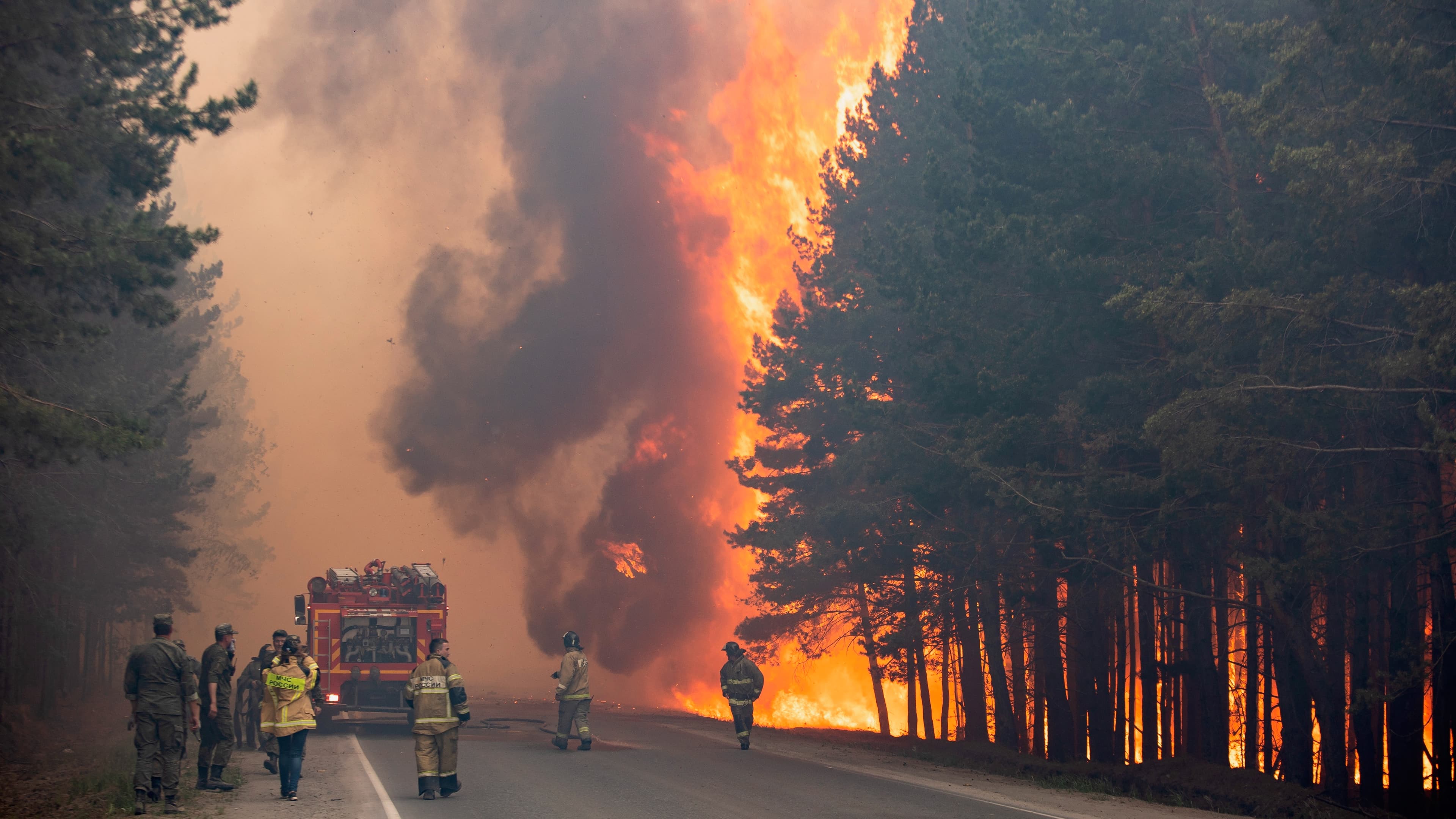 Firefighters work at the scene of a forest fire near Andreyevsky village outside Tyumen, western Siberia, Russia, June 16, 2021.