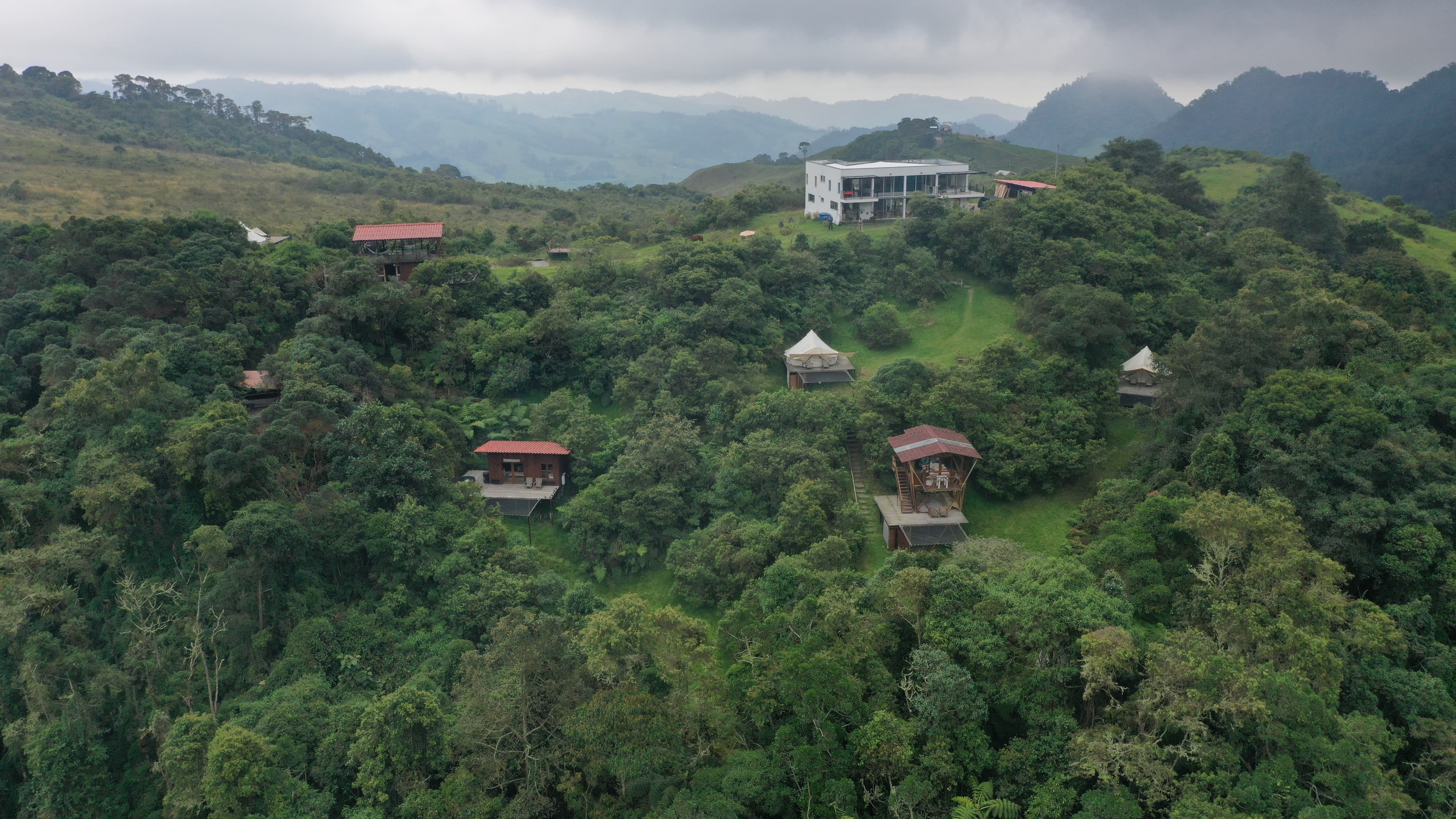 At El Color de Mis Reves, or The Color of My Dreams, most of the land is covered by cloud forests. The owner wants the forest to regrow to give the wildlife more space.