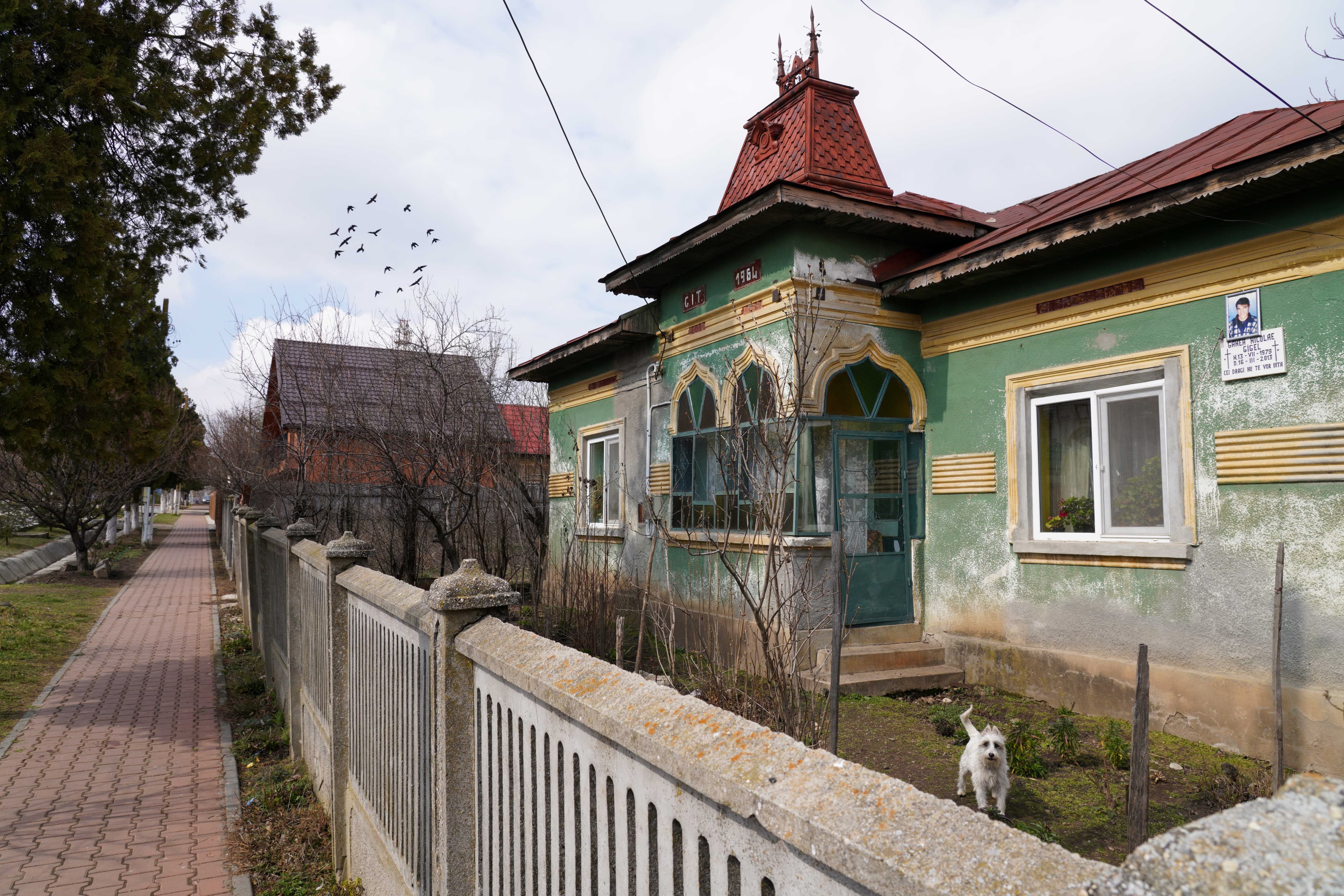 The southern Romanian village of Deveselu is full of small, pastel-colored houses on rectangular lots, with well-tended gardens and the sounds of chickens in the air.