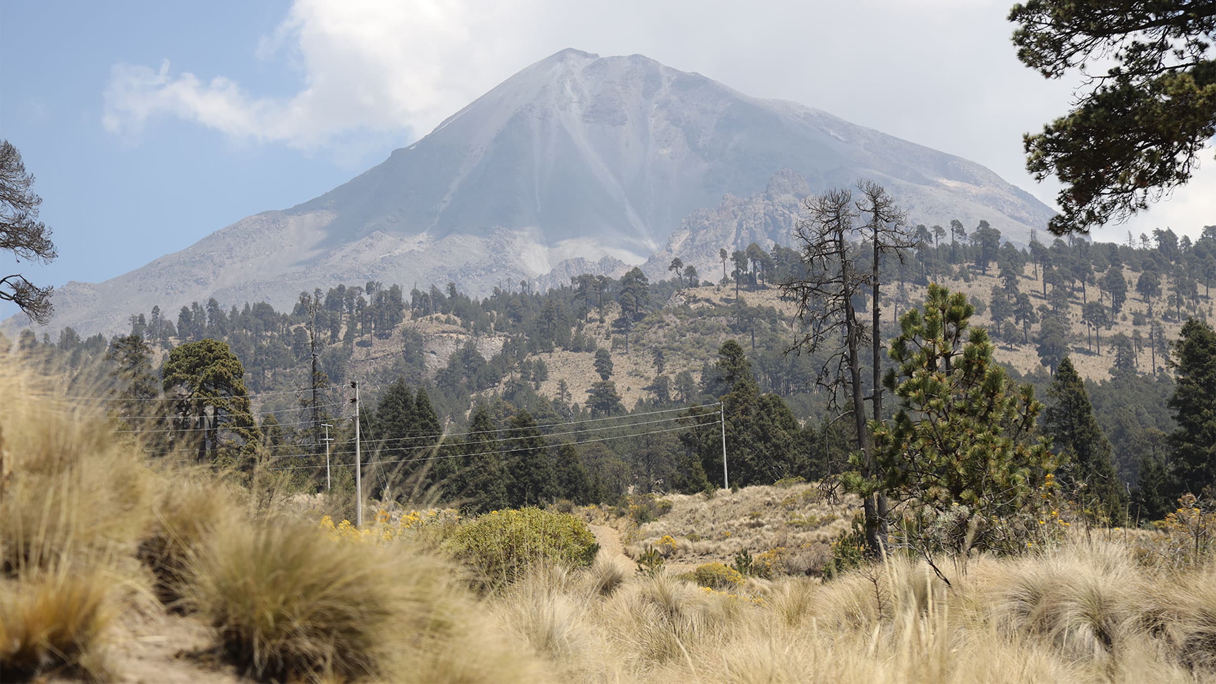 Sparse trees seen near Orizaba Peak in Mexico