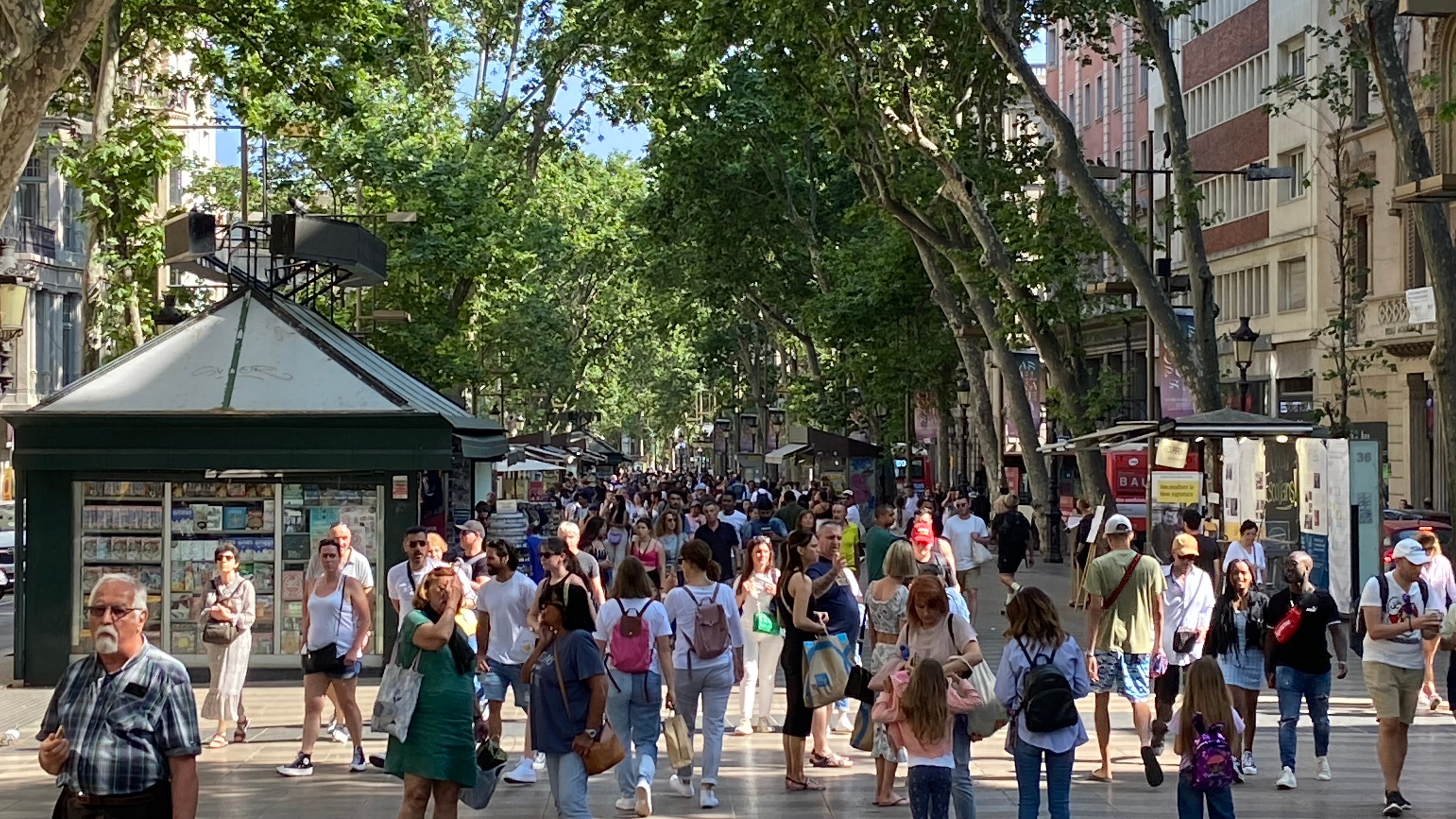 throngs of people walking down the street