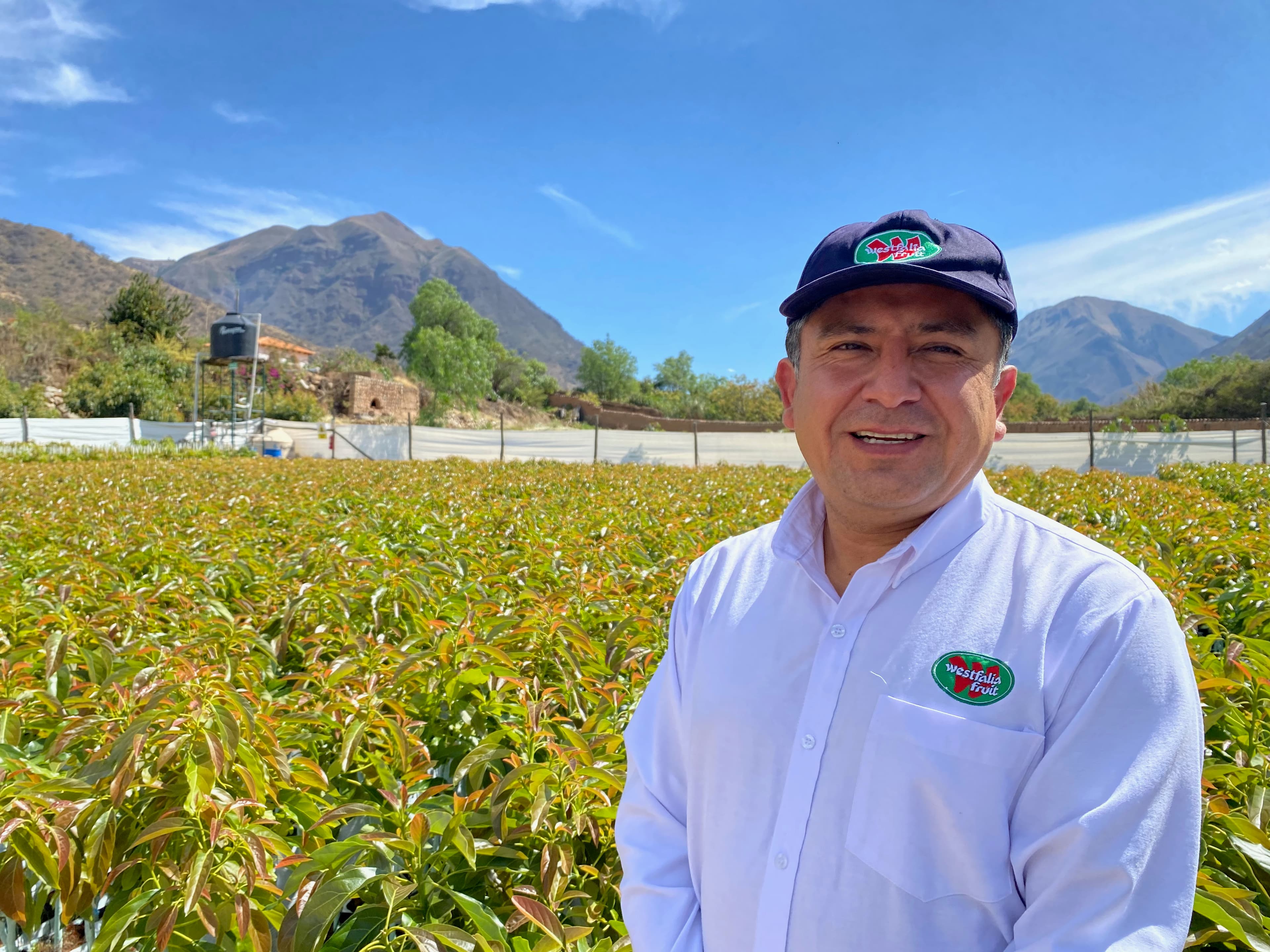 farmer in front of the valley