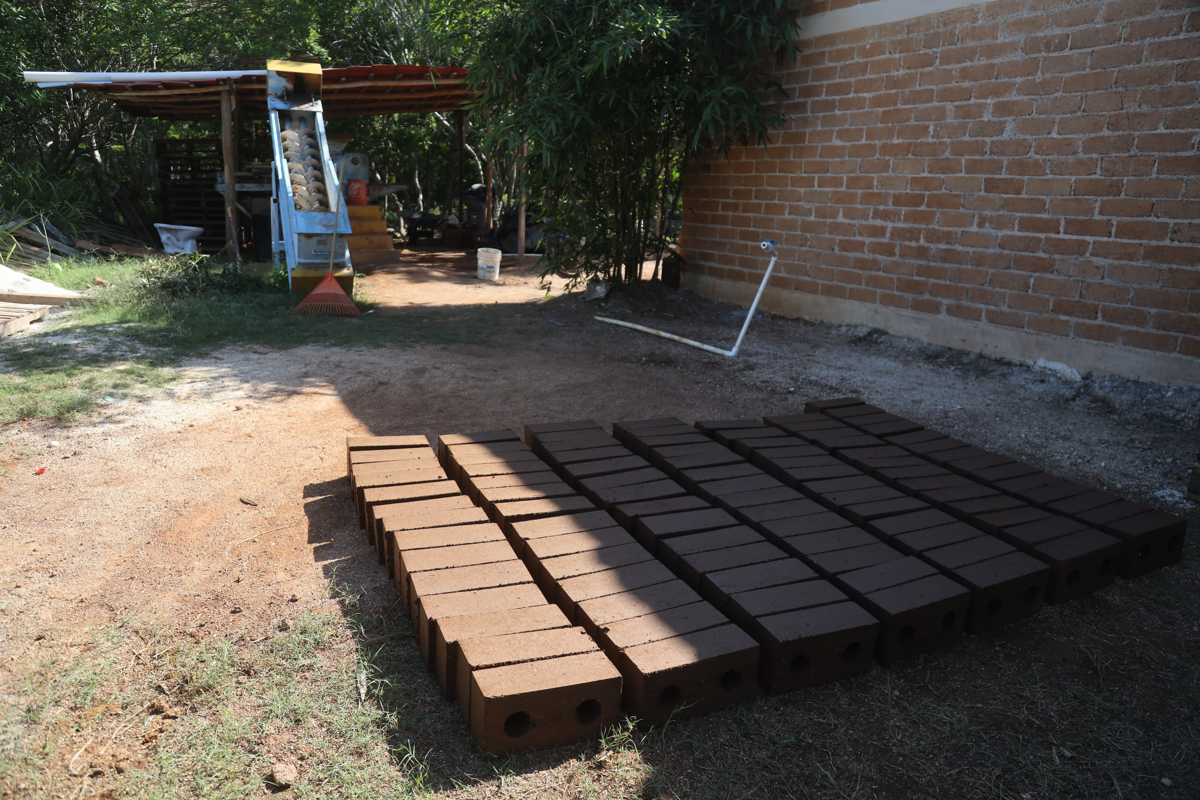 Sargablocks lay out to dry in the sun.