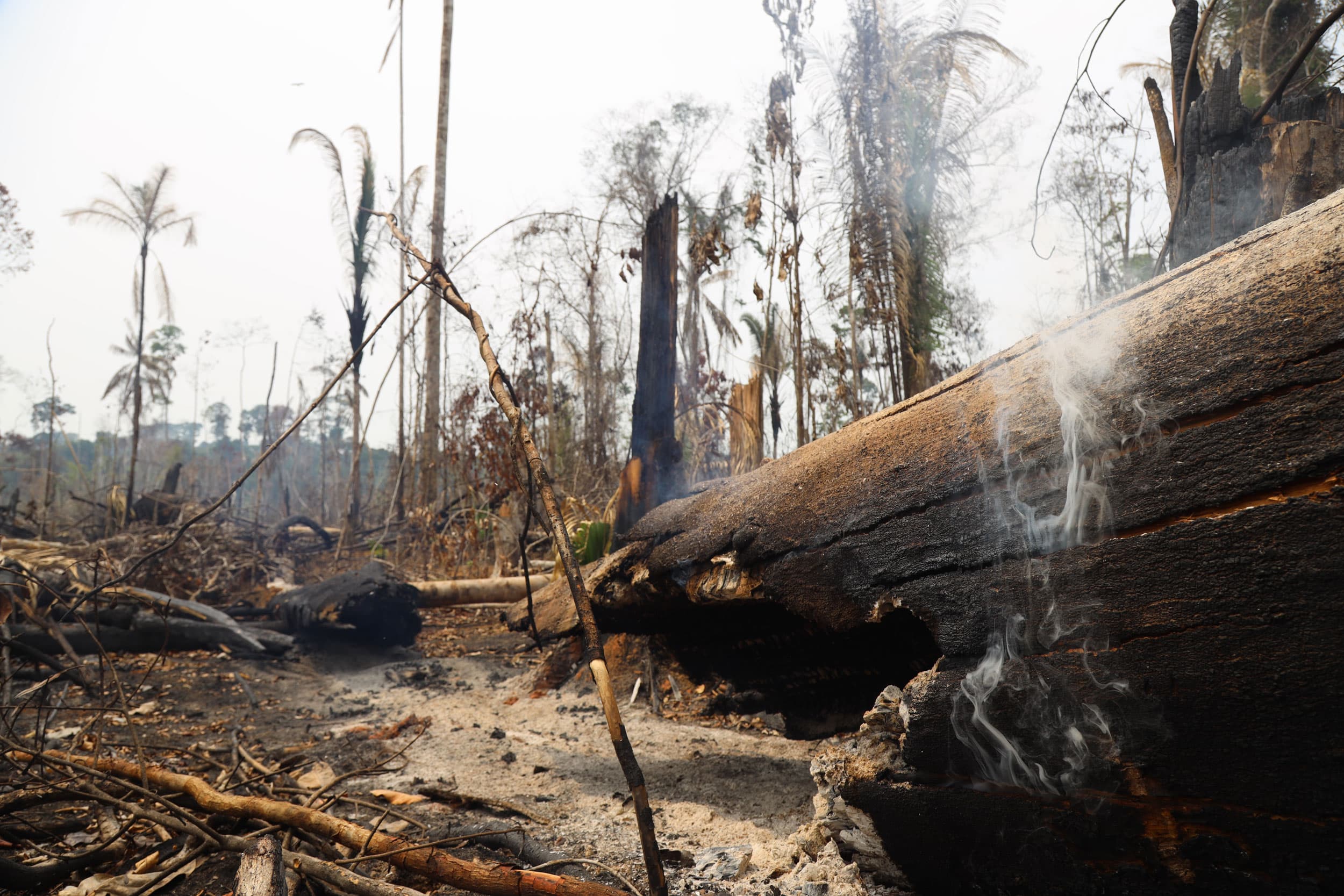 Amazon deforestation can be seen here on Indigenous territory in the state of Rondônia.