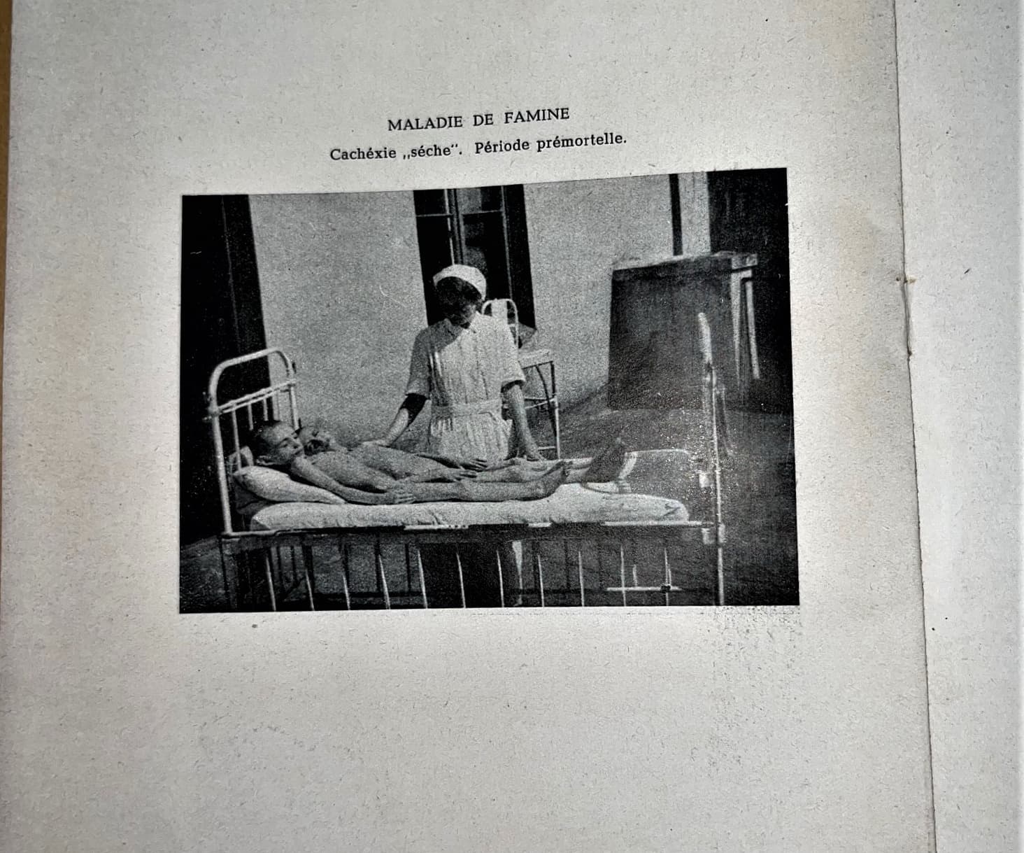 The book includes haunting photos from inside the ghetto, along with its record of the medical effects of starvation.