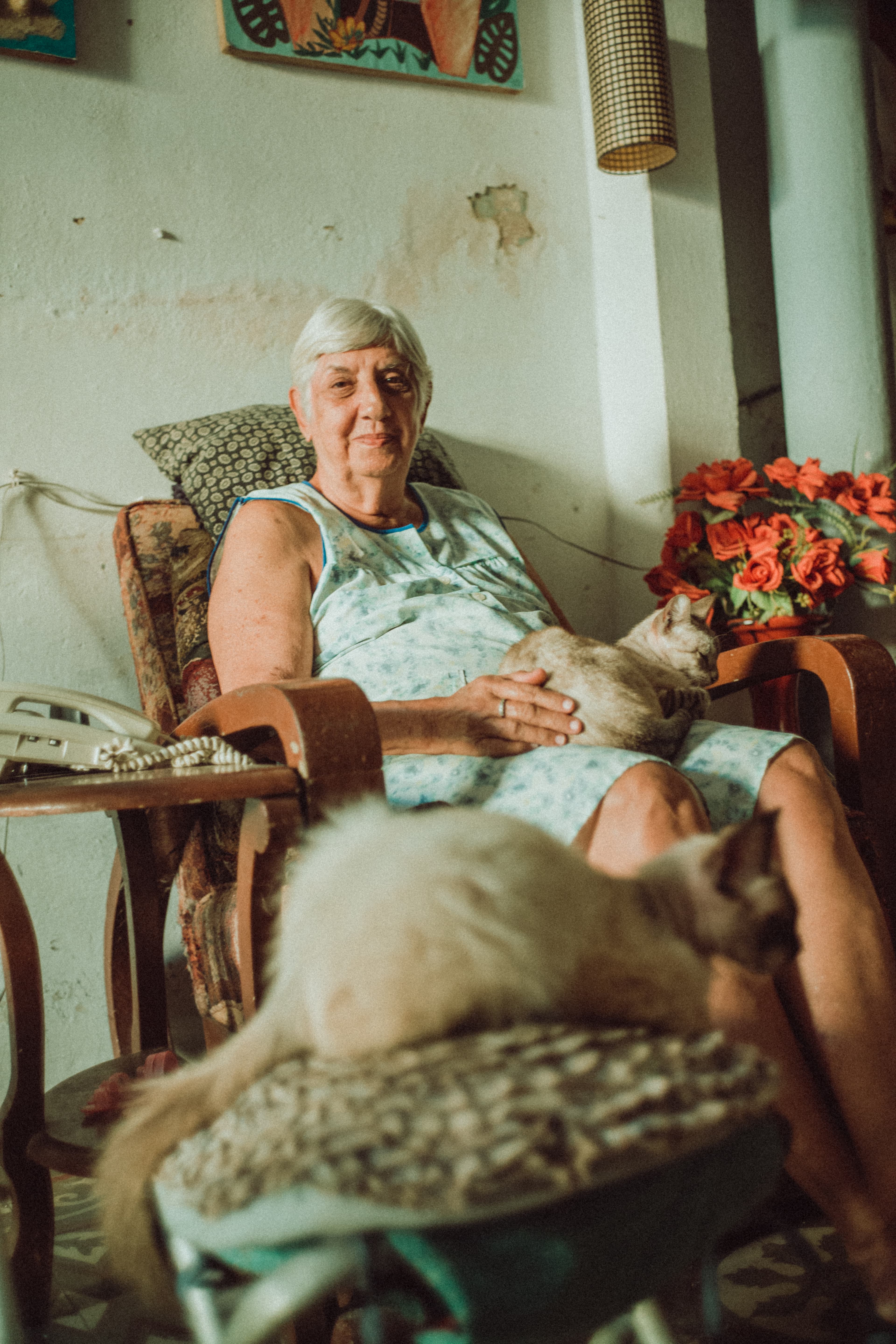 Mom and her cats at home.