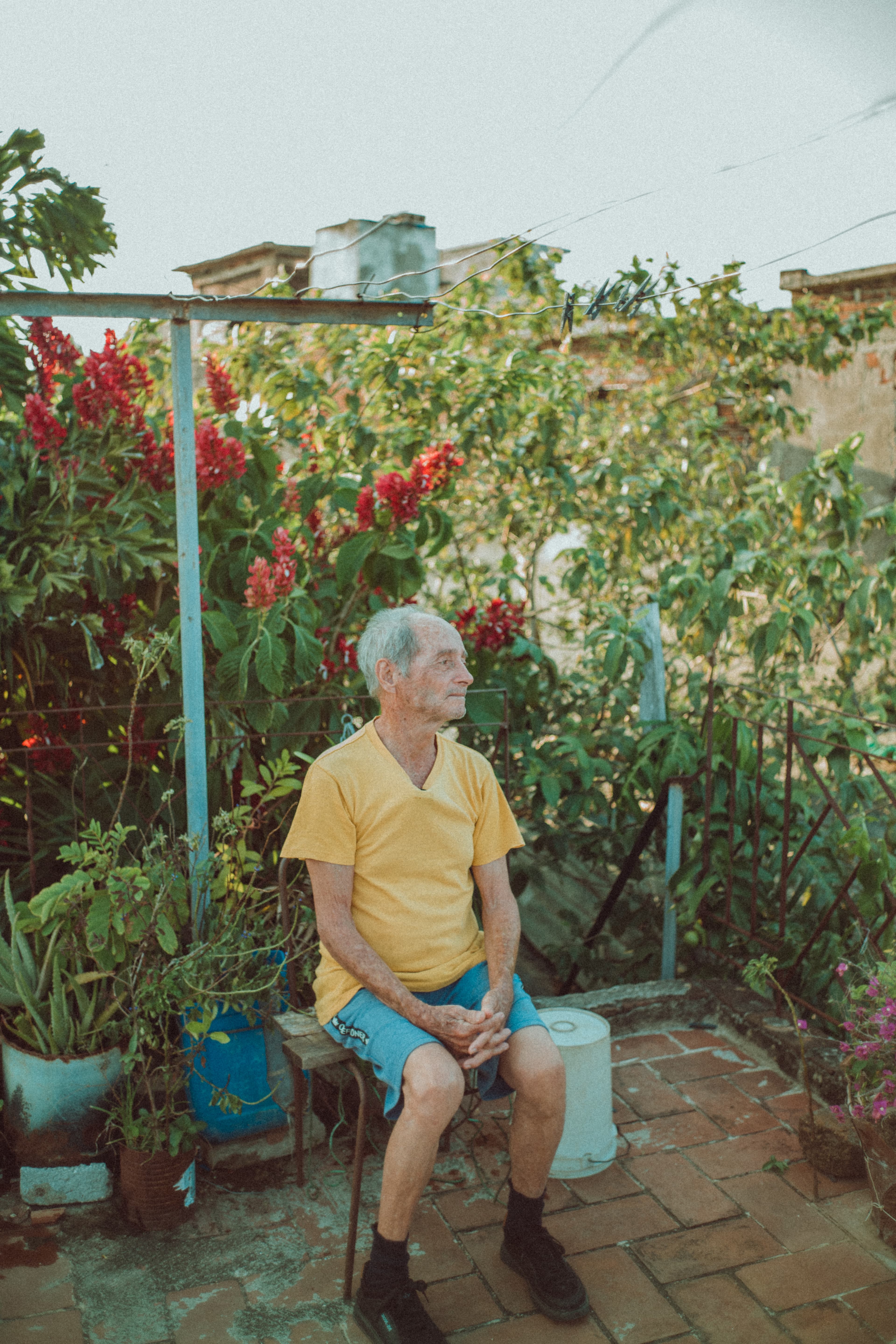 Armando Guerra's dad on the roof with his plants.