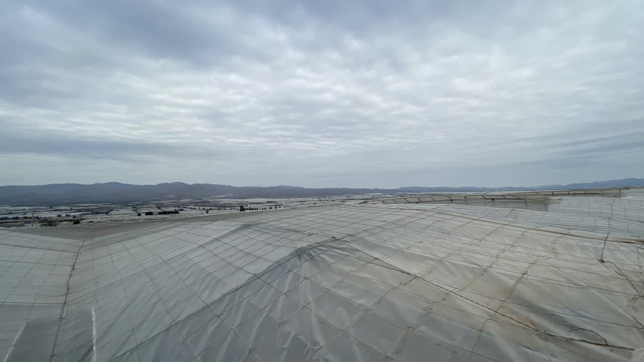 The plastic keeps crops safe from the brutal sun and wind in this arid region.