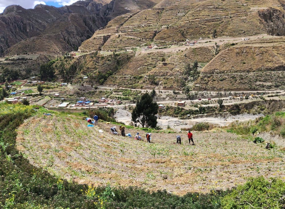 a rocky hillside with agricultural workers in Bolivia