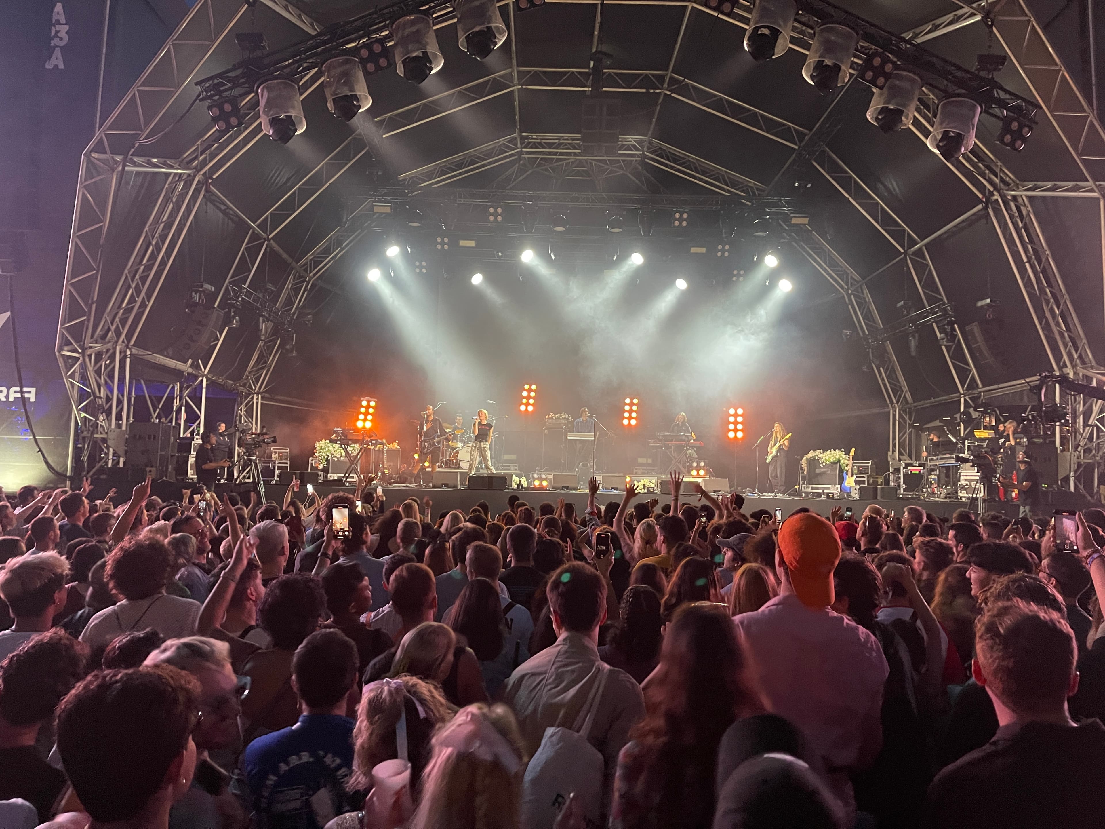 Crowd of people at a music festival
