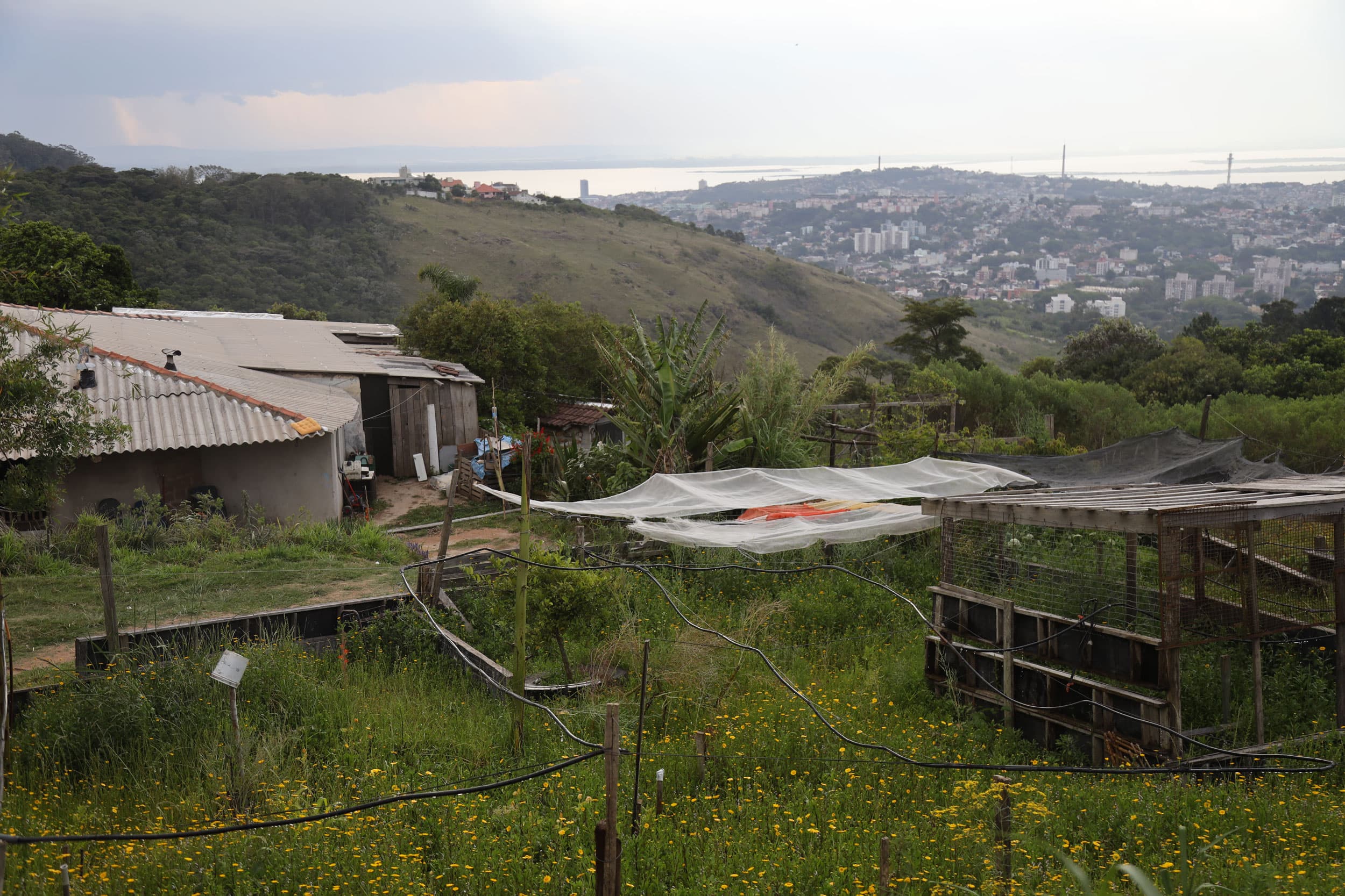 Quilombo dos Alpes, which overlooks Porto Alegre, have been waiting for more than two decades for their title. Roughly 120 families live here on 140 acres of land.