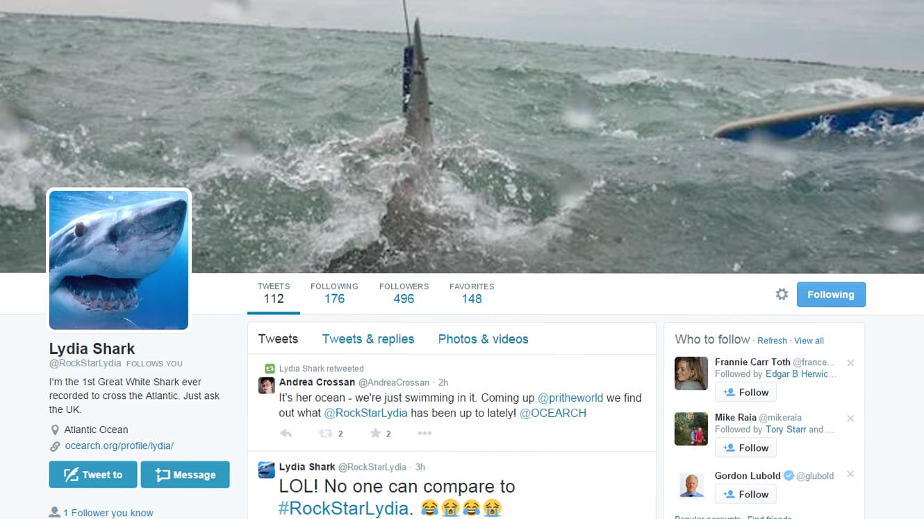 Lydia's Twitter account