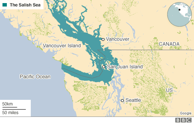 The Salish Sea