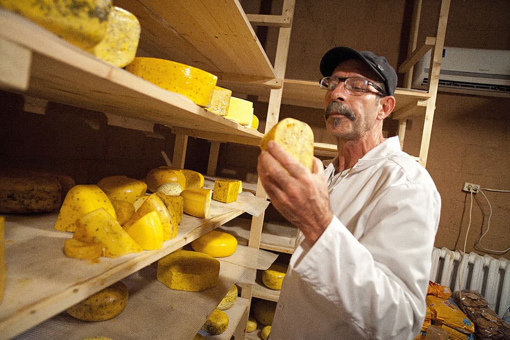 Jay Close — Cheesemaker