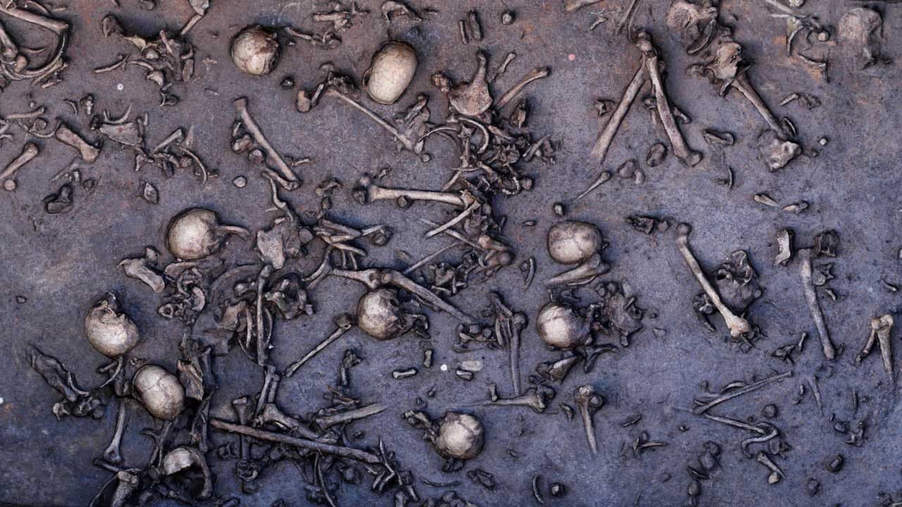 A 2013 photo of the ancient battle site. One area of 14 square yards held 1478 bones, including 20 skulls.