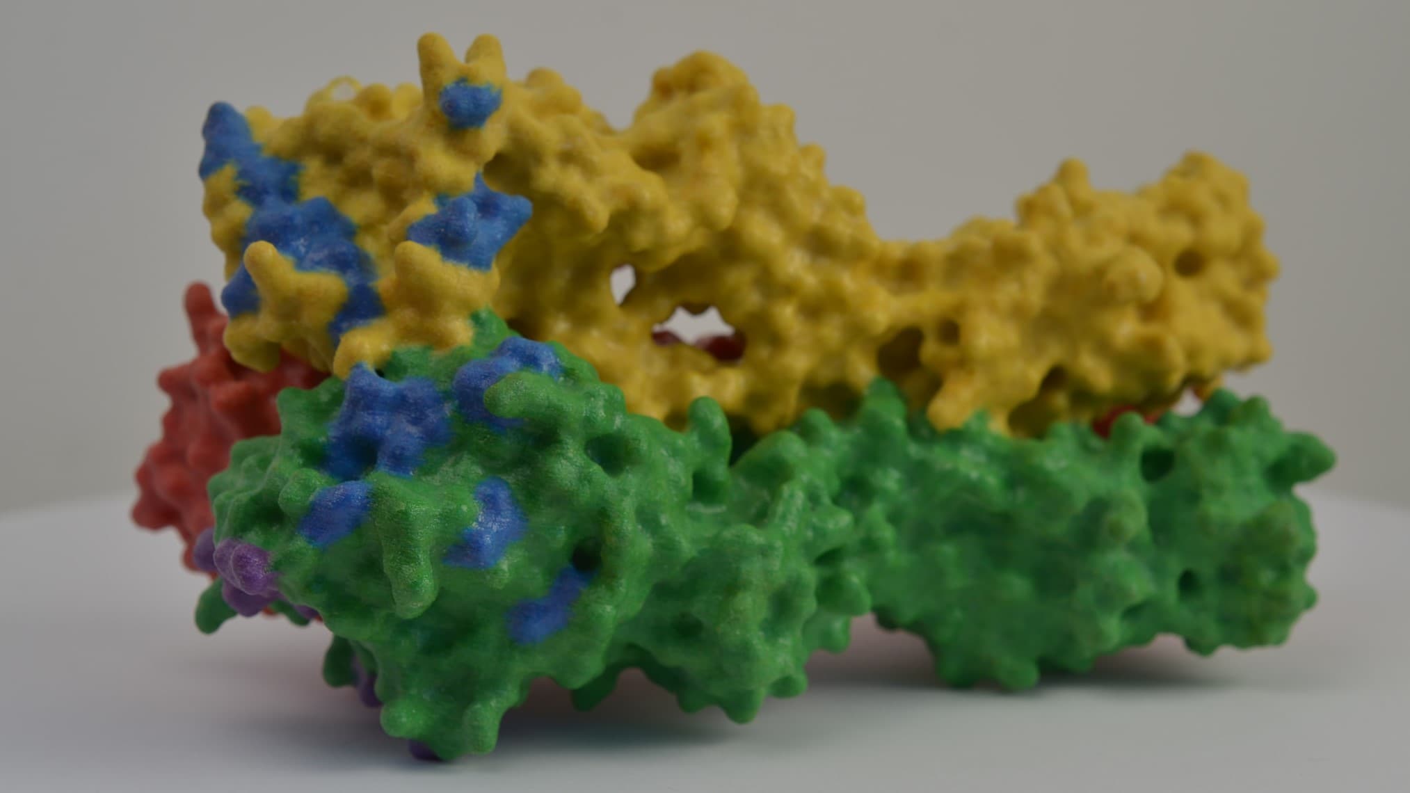 A 3-D print of hemagluttinin