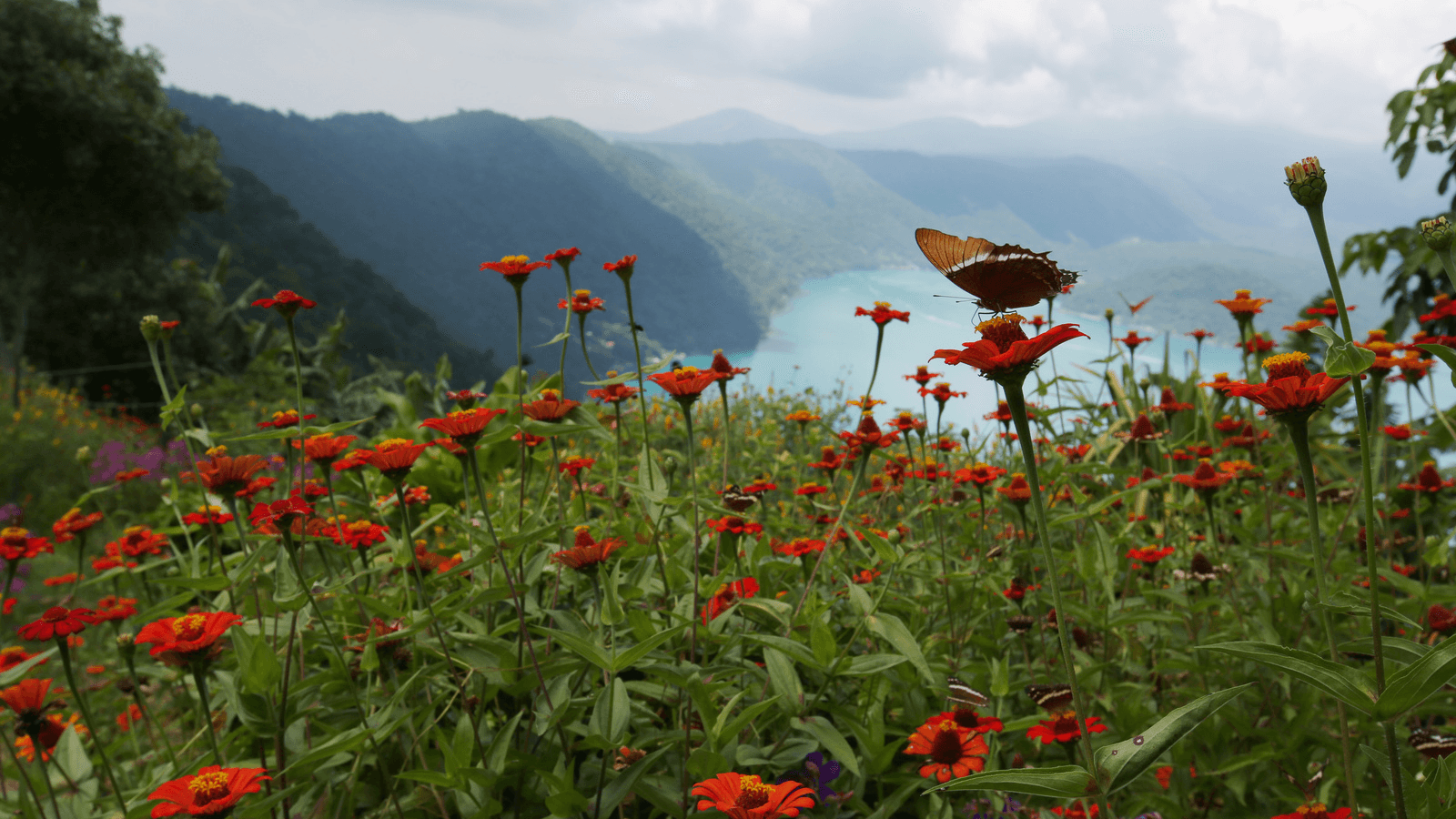 Coatepeque Lake is seen from a road in the town of El Congo, El Salvador, Sept. 6, 2017. The color of the water in the Coatepeque lake has changed due to the proliferation of Cyanobacteria and non-identified minerals.