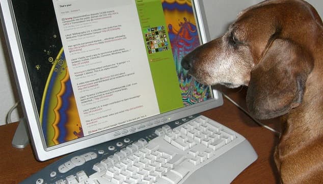 Entrepreneur and author Andrew Keen argues that the free model of the Internet isn’t really free at all.