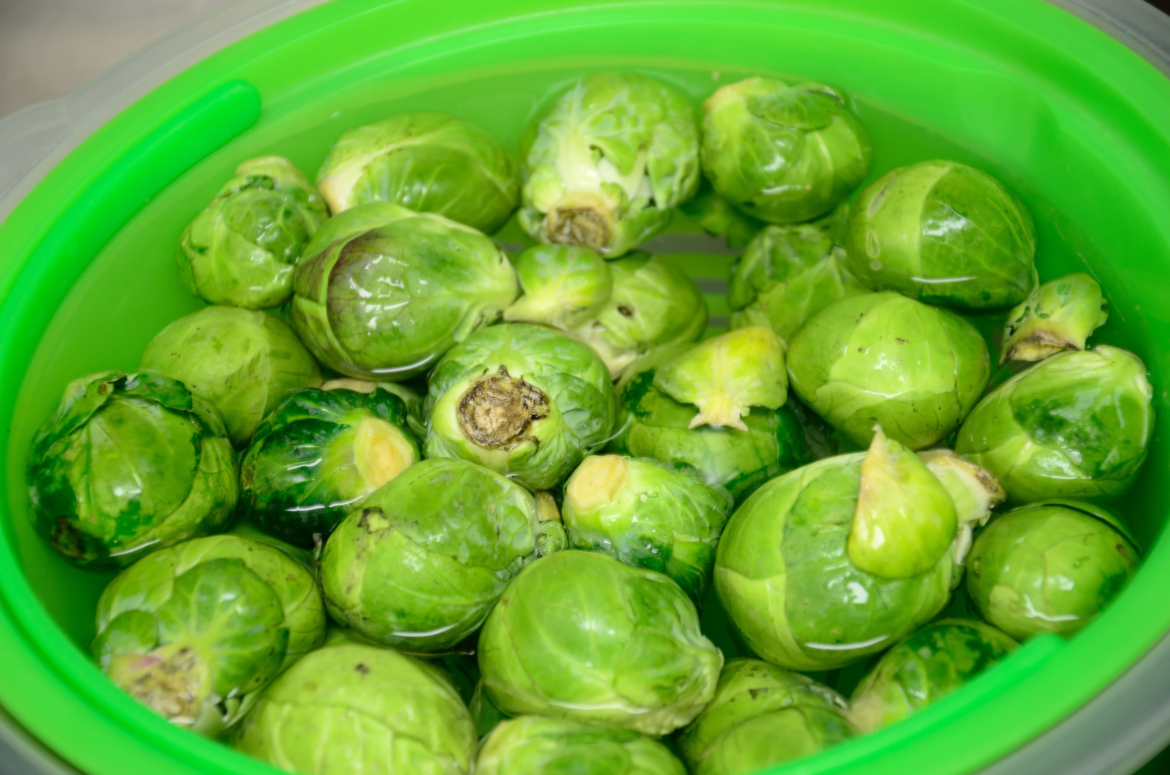 sprouts