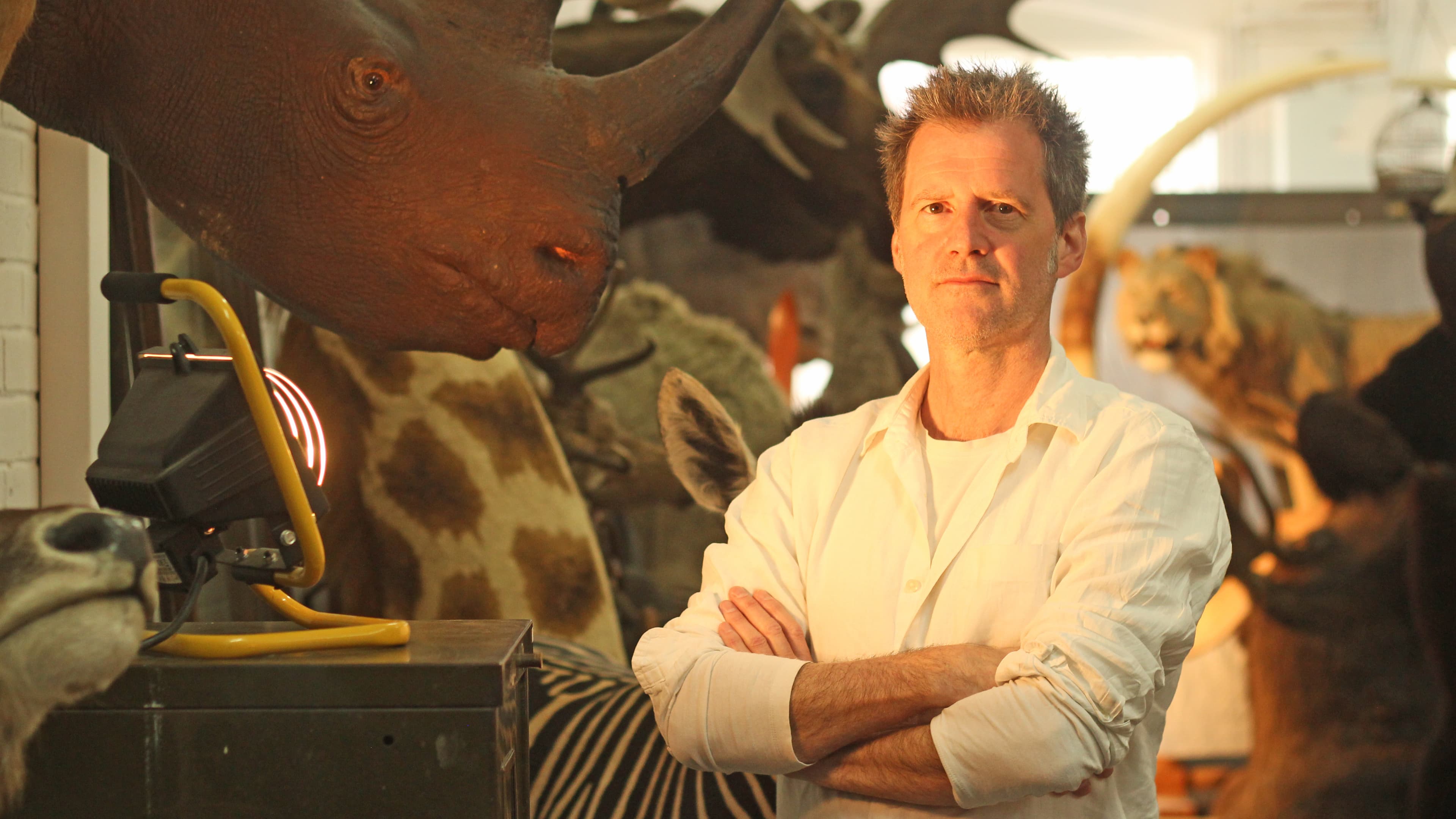 Alexis Turner, owner of London Taxidermy, says the motive for the heist remains a mystery.