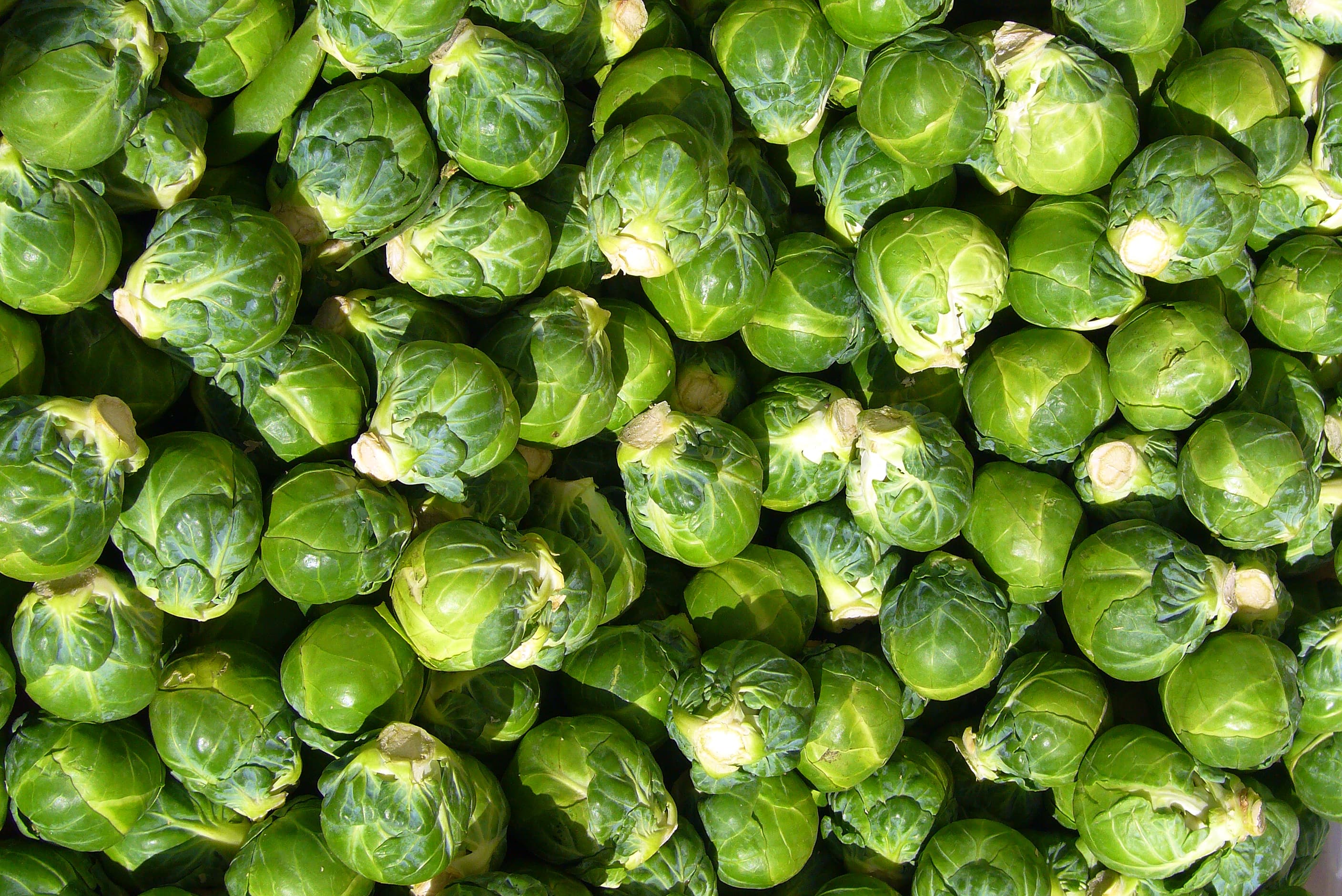 Brussels sprouts
