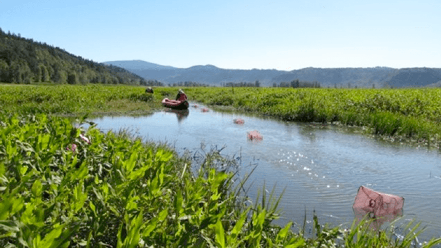 Scientists with the US Geological Survey gather samples near coal train tracks in the Columbia Gorge near Washougal, Washington. Little research has been done on how coal interacts with the environment.