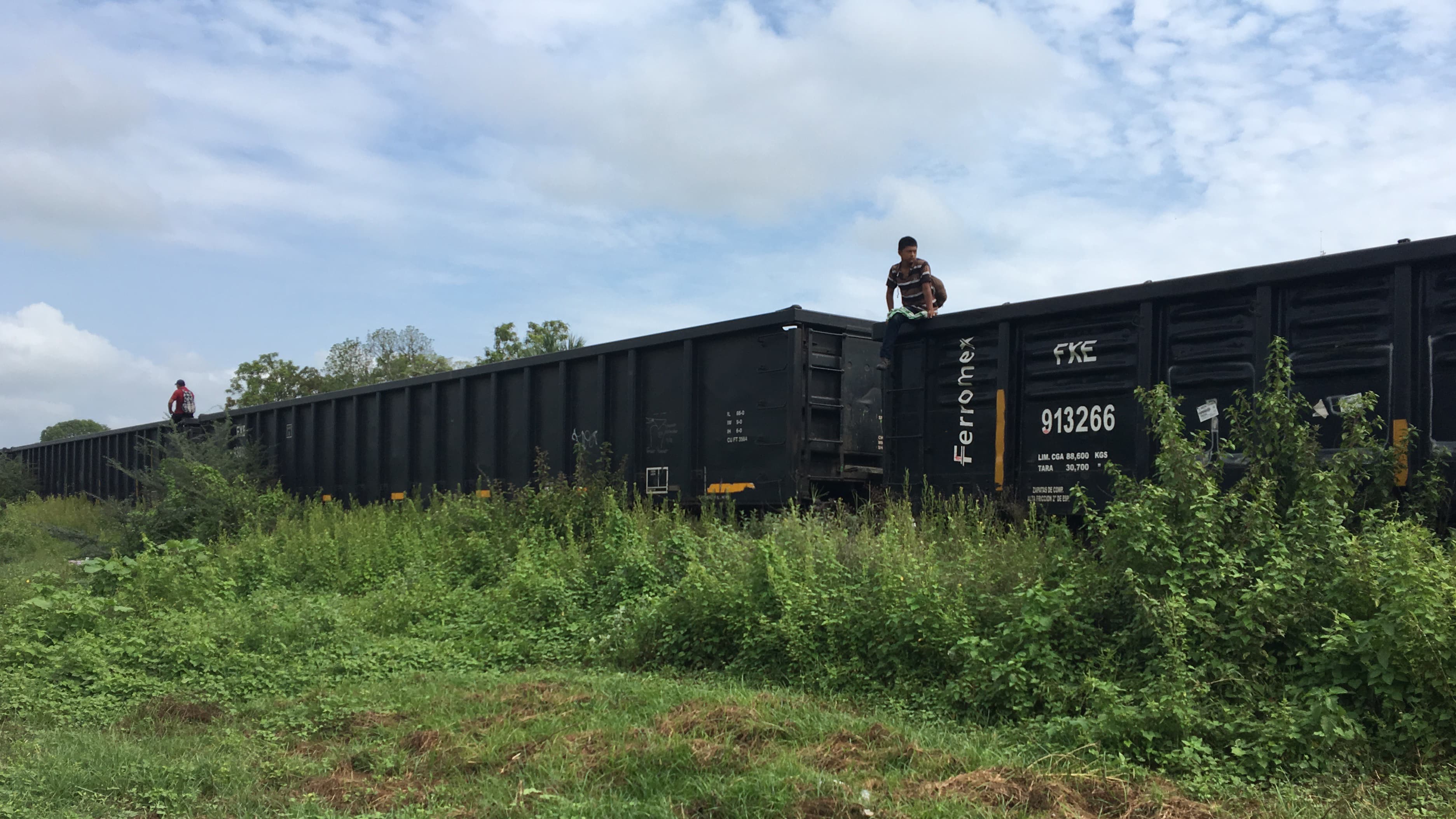 A train in a green field with someone standing on the top of a car
