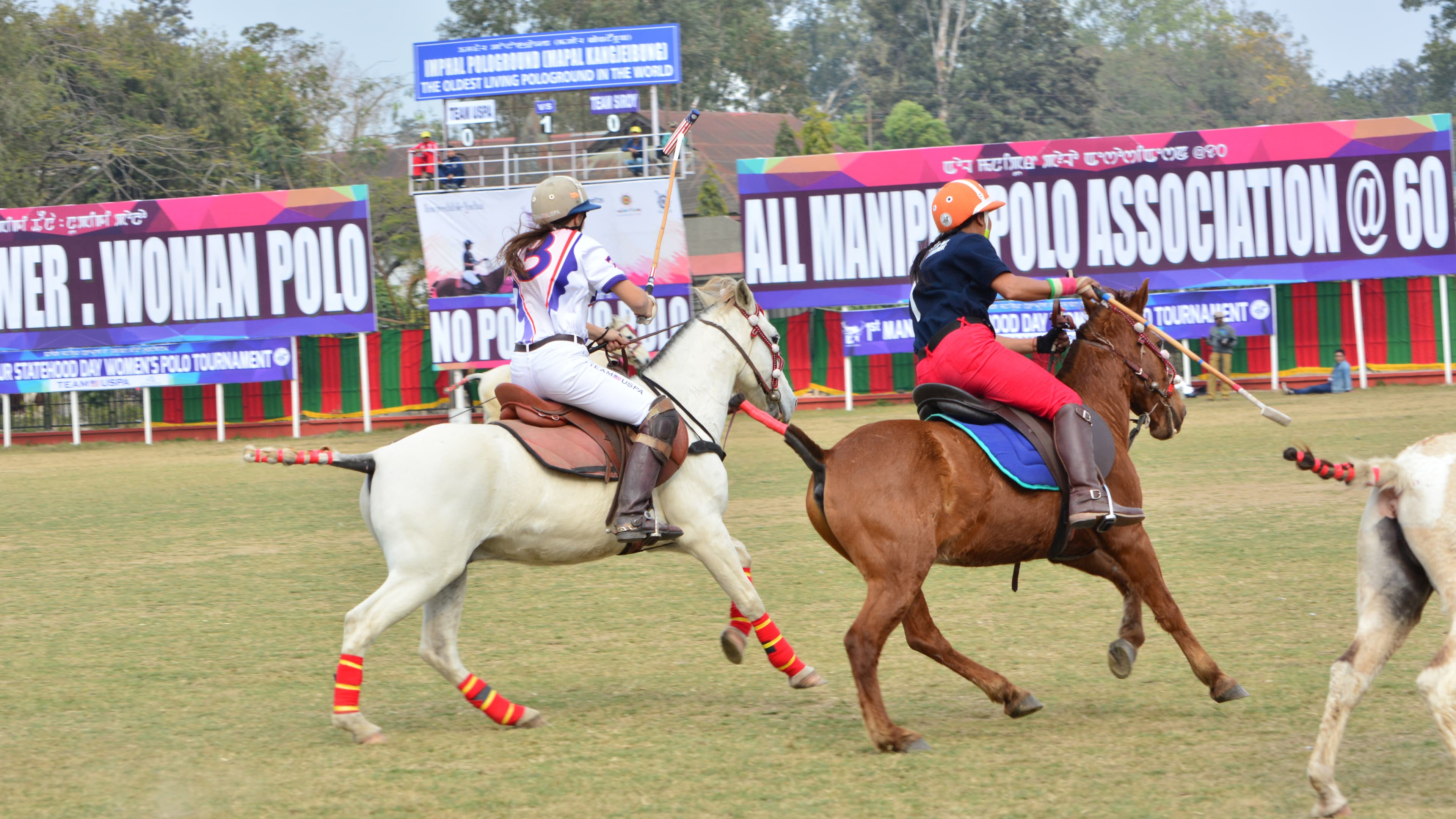 American and Manipuri players particpate in the woman's polo tournament in Manipuri in January 2016. They're riding the native Manipuri ponies.