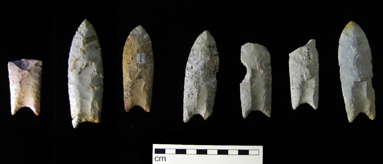 Clovis points