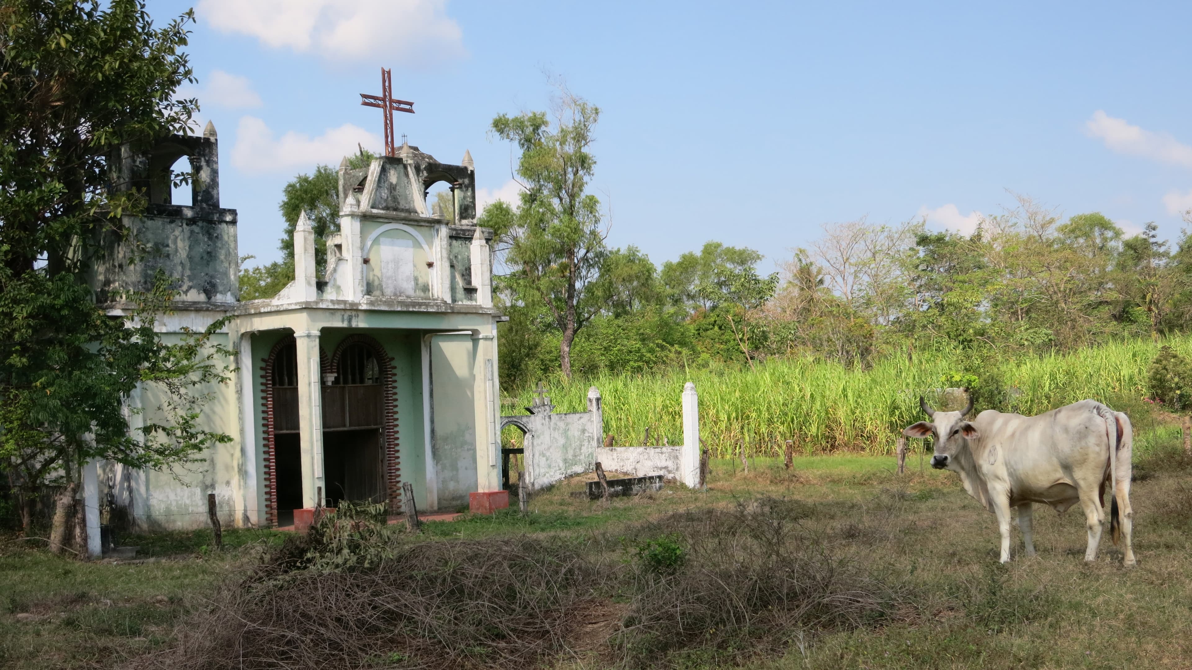 The ruins of the town of Valdivia in the southernmost Mexican state of Chiapas. The town was destroyed by a tropical storm in 1998.