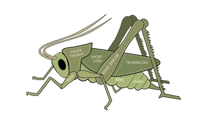 A promotional image from Coalo Valley Farms Kickstarter campaign.