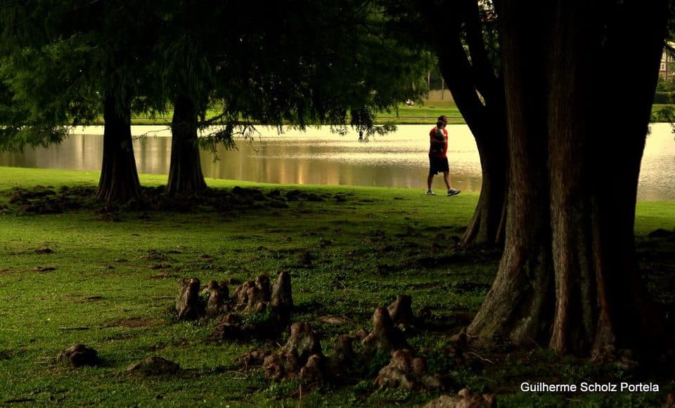 Curitiba park
