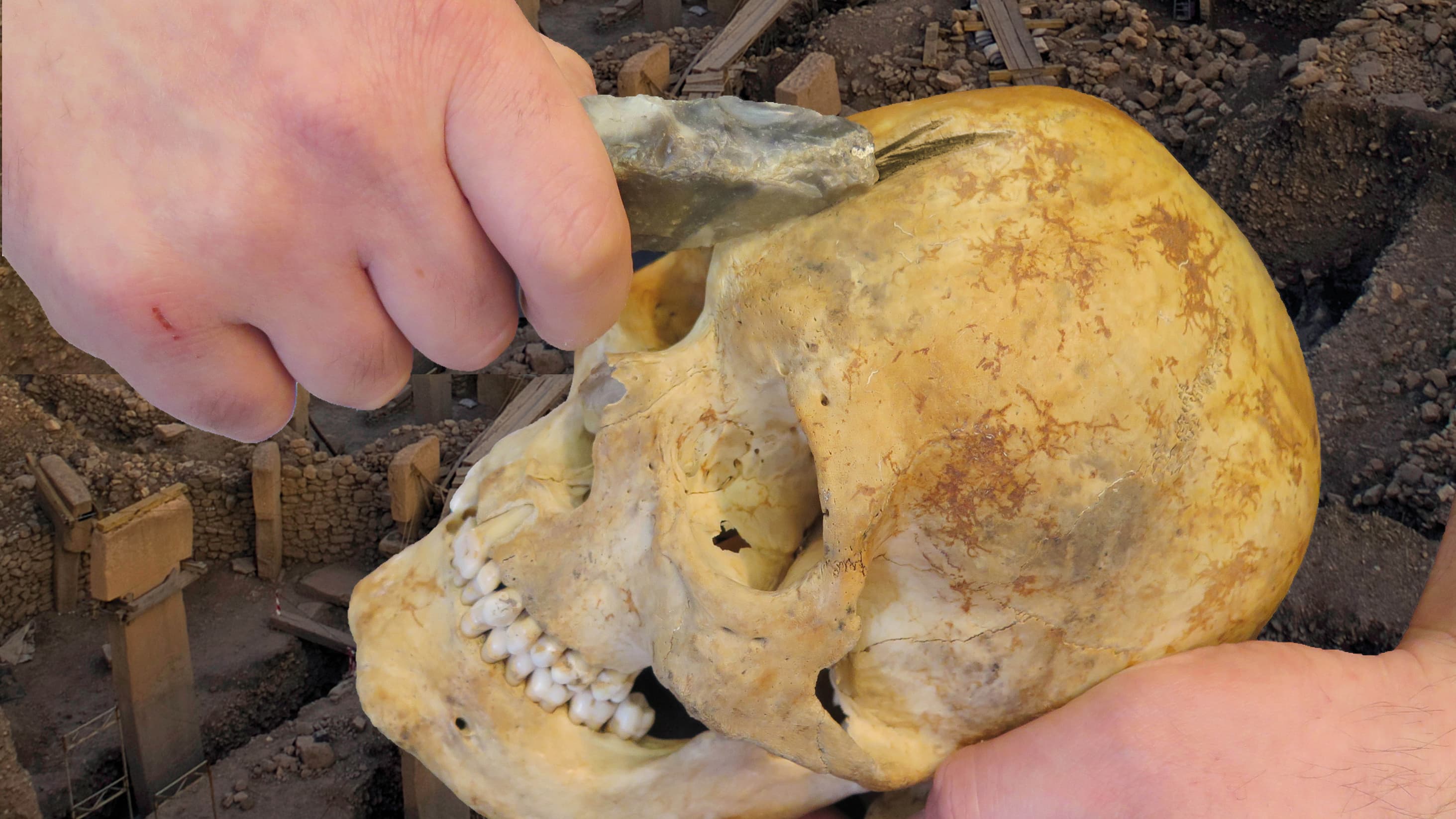 A tentative reconstruction of a skull being modified, in the style found at Gobekli Tepe
