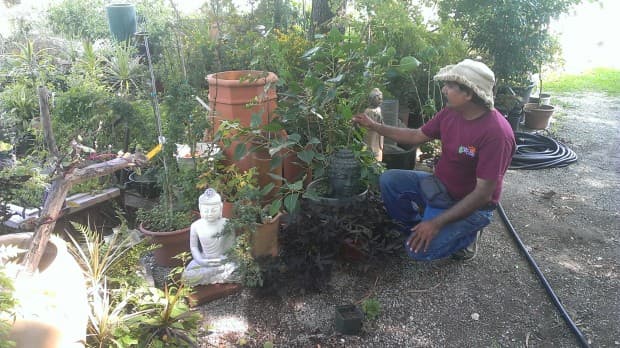 Anil Gandhi in North Carolina