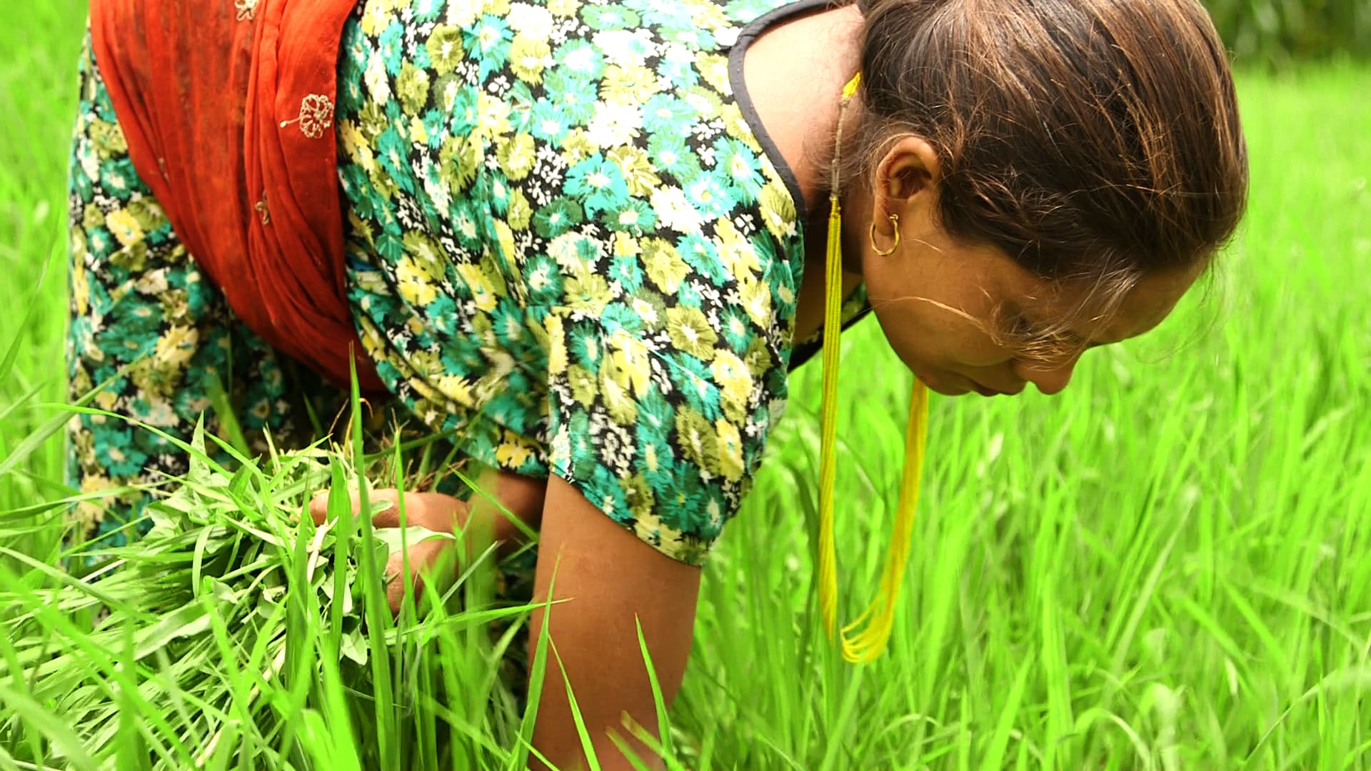 Januka Rasaeli, a pregnant woman in Nepal