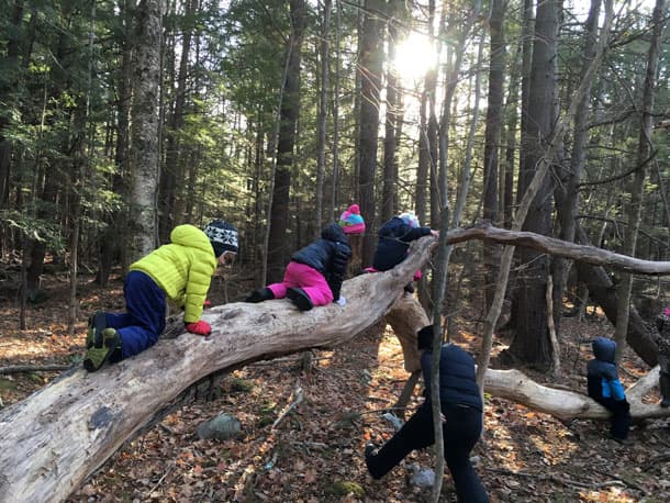Kids playing on tree
