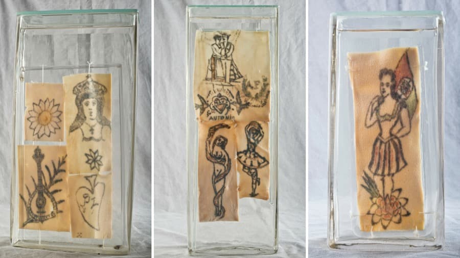 Tattooed human skin forms part of an exhibit in Portugal.