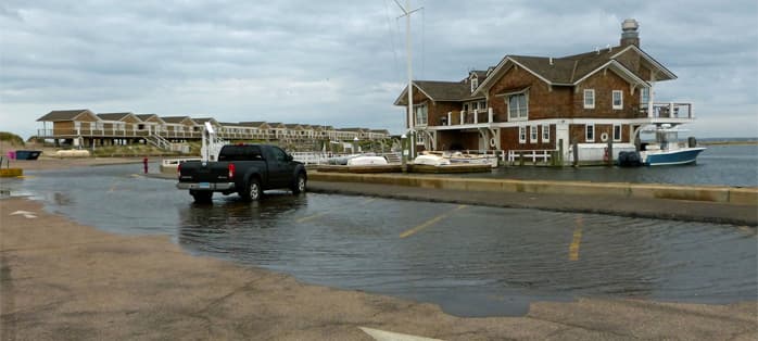 Seal leve rise RI bay