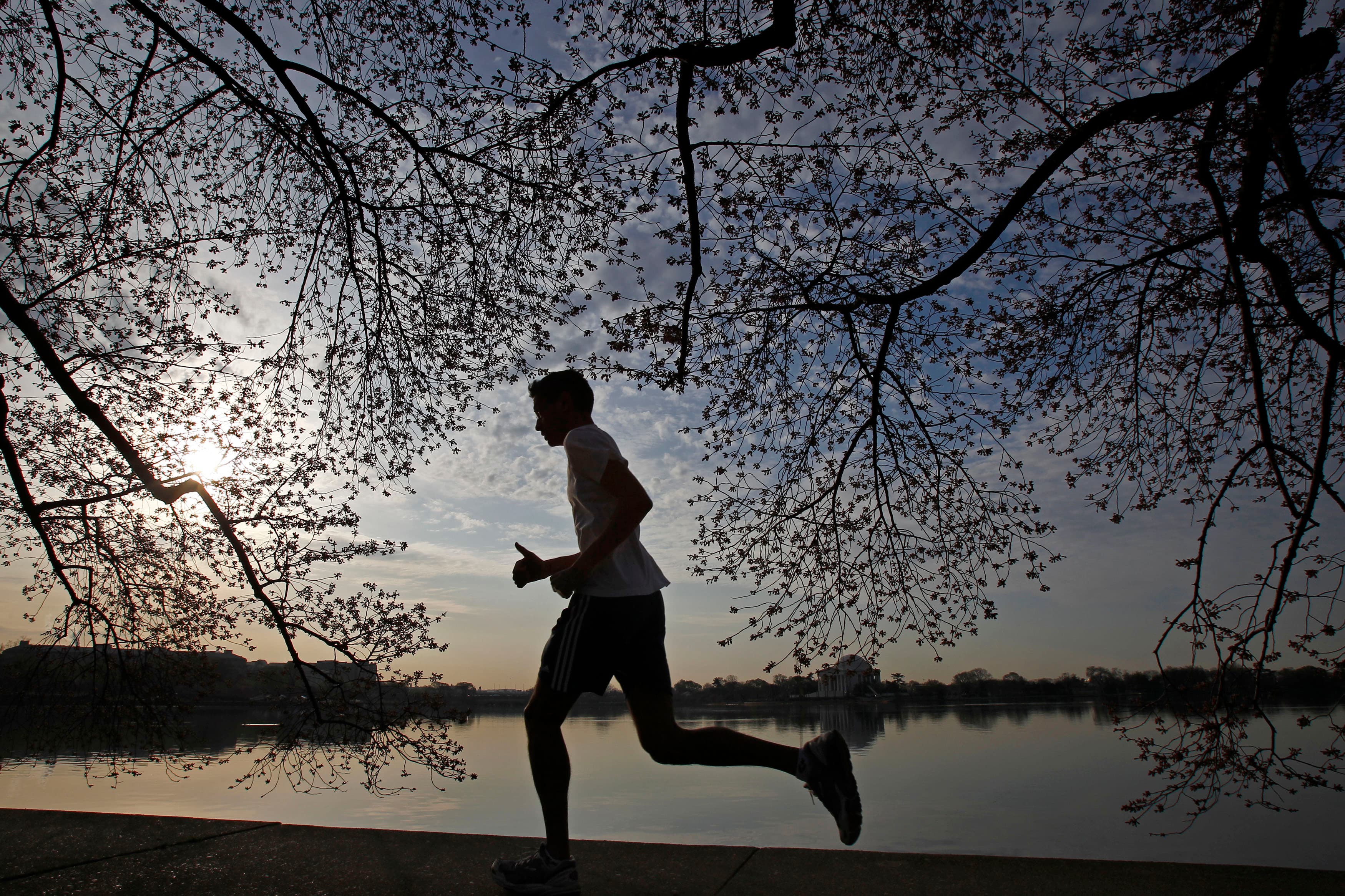 Man running under cherry blossom branches
