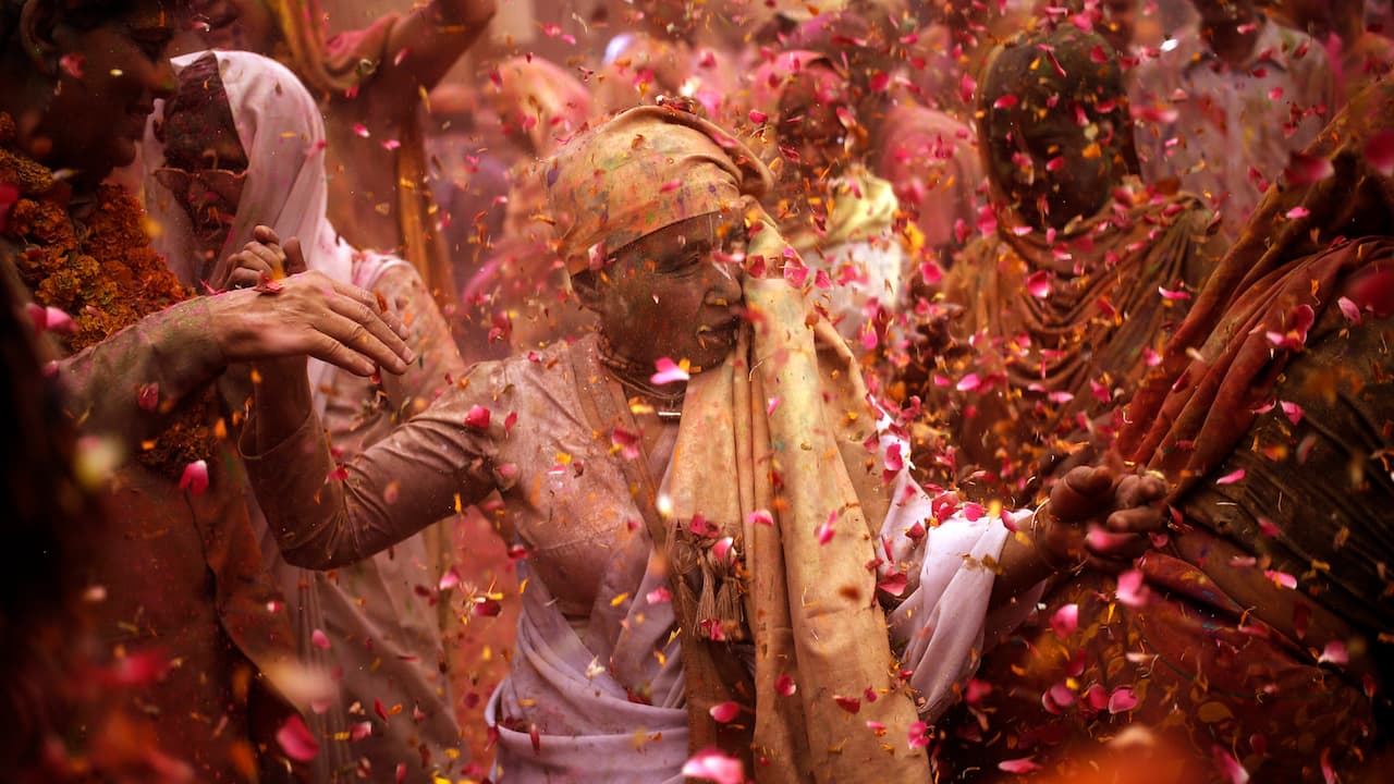 Vrindavan widows Holi